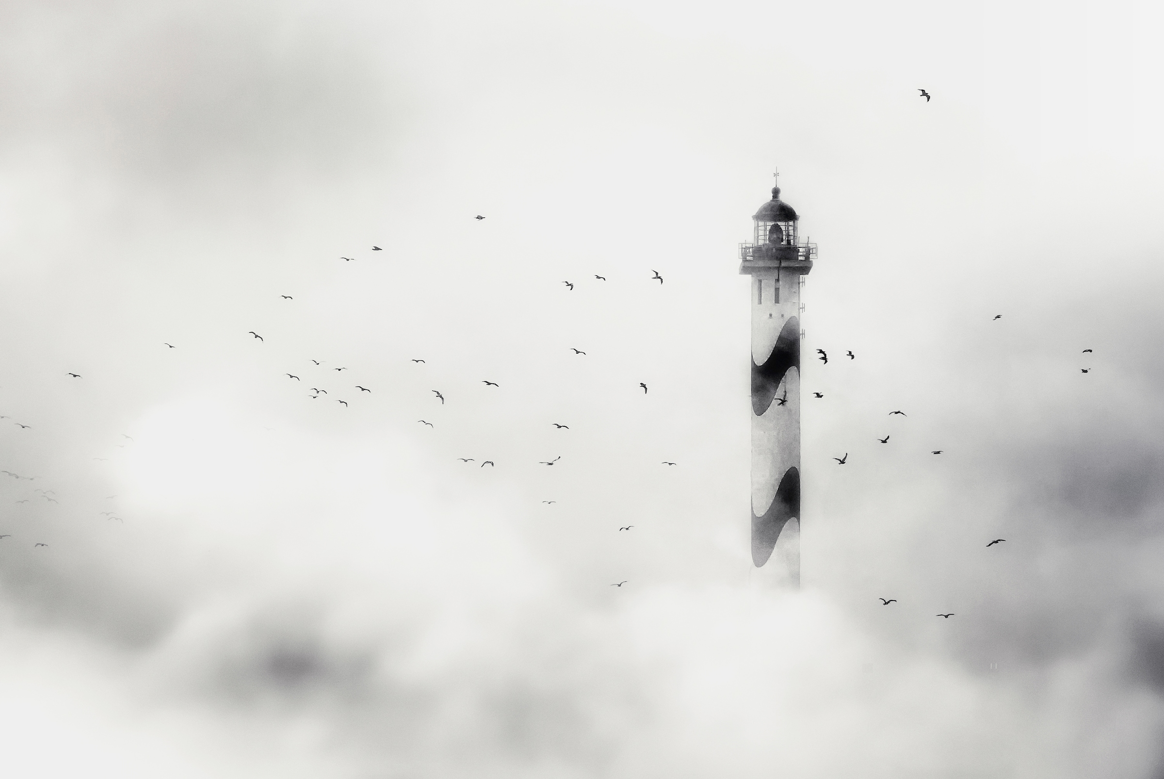 Image of Papermoon Fototapete "Photo-Art PIET FLOUR, DER NEBEL"