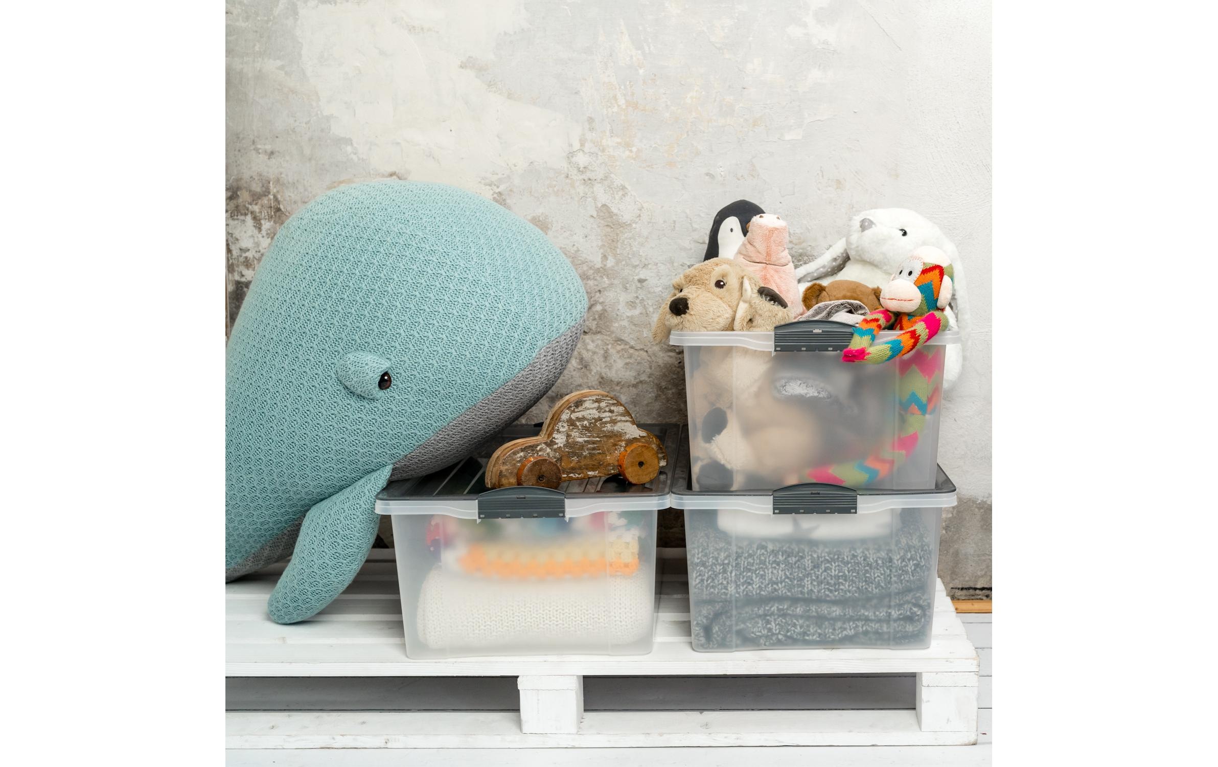 ROTHO Aufbewahrungsbox »COMPACT, 3 tlg.«, (3 St.)