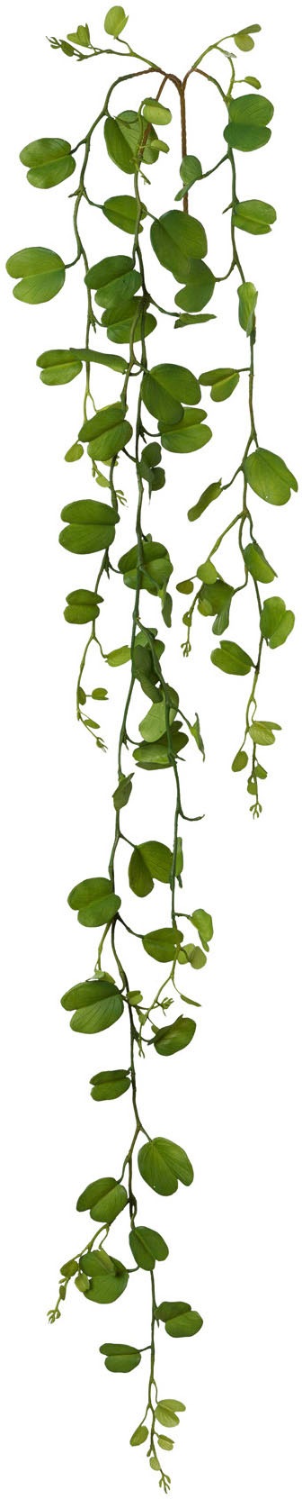 Image of Creativ green Kunstgirlande »Bauhiniablattgirlande«, (1 St.) bei Ackermann Versand Schweiz