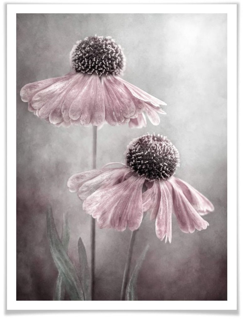 Image of Wall-Art Poster »Rosa Duett«, Schriftzug, (1 St.) bei Ackermann Versand Schweiz