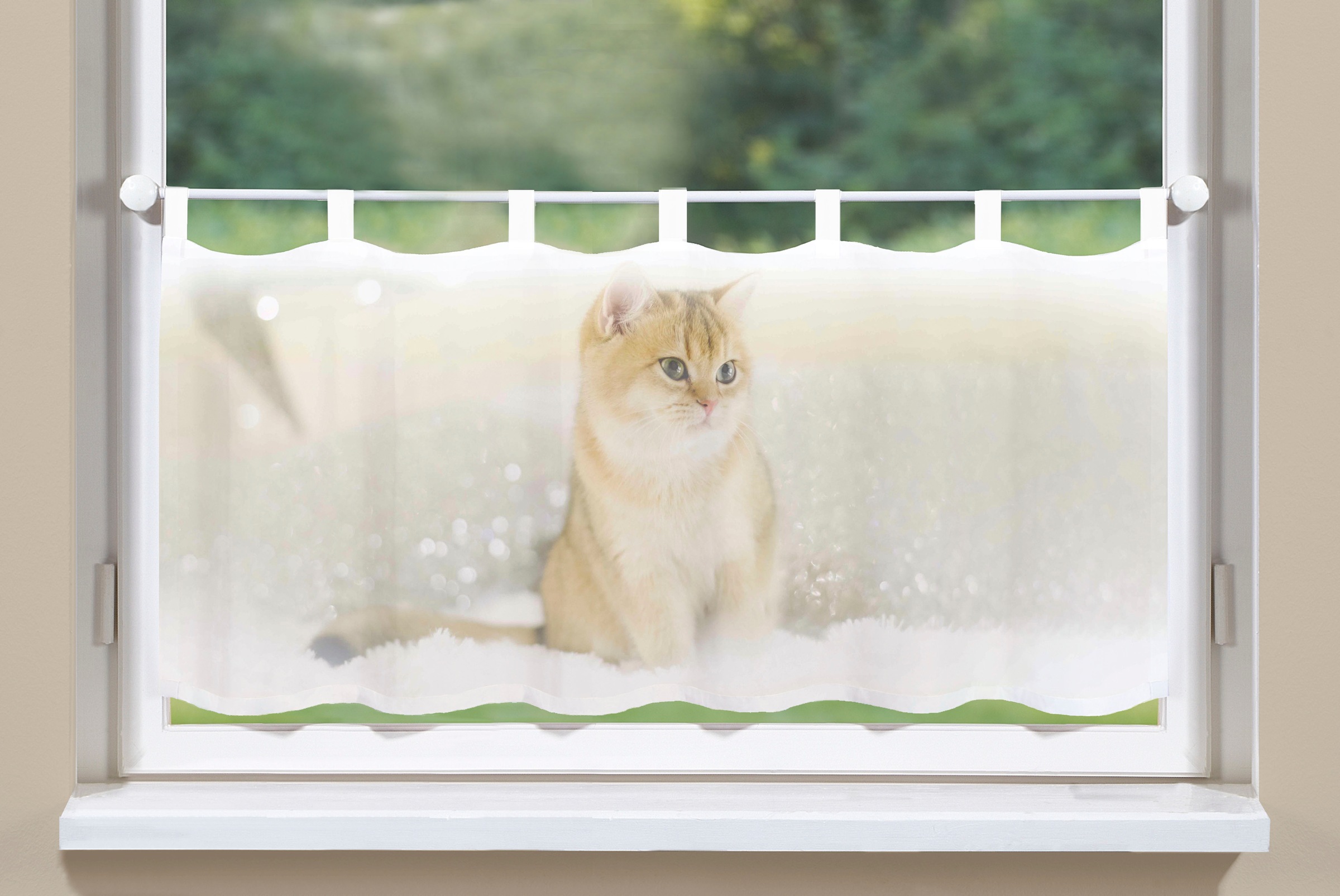 Image of HOME WOHNIDEEN Scheibengardine »SWEETY«, (1 St.), aufwendiges Digitaldruckverfahren bei Ackermann Versand Schweiz