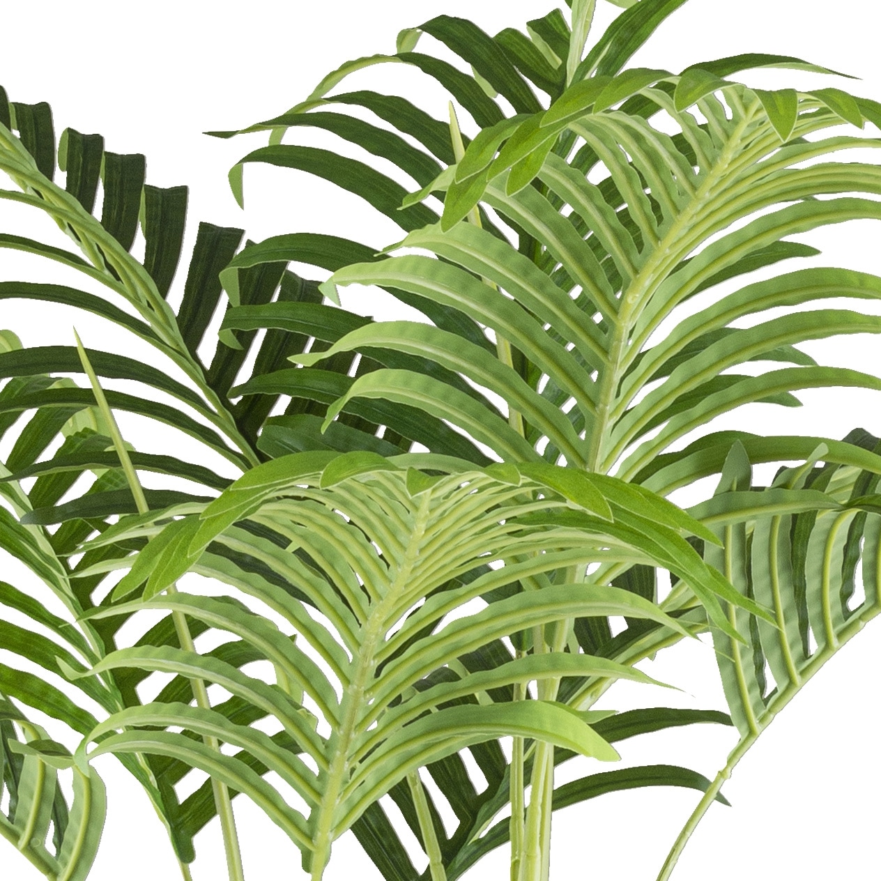 Creativ green Kunstpalme »Bambuspalme« mit zahlreichen Wedeln