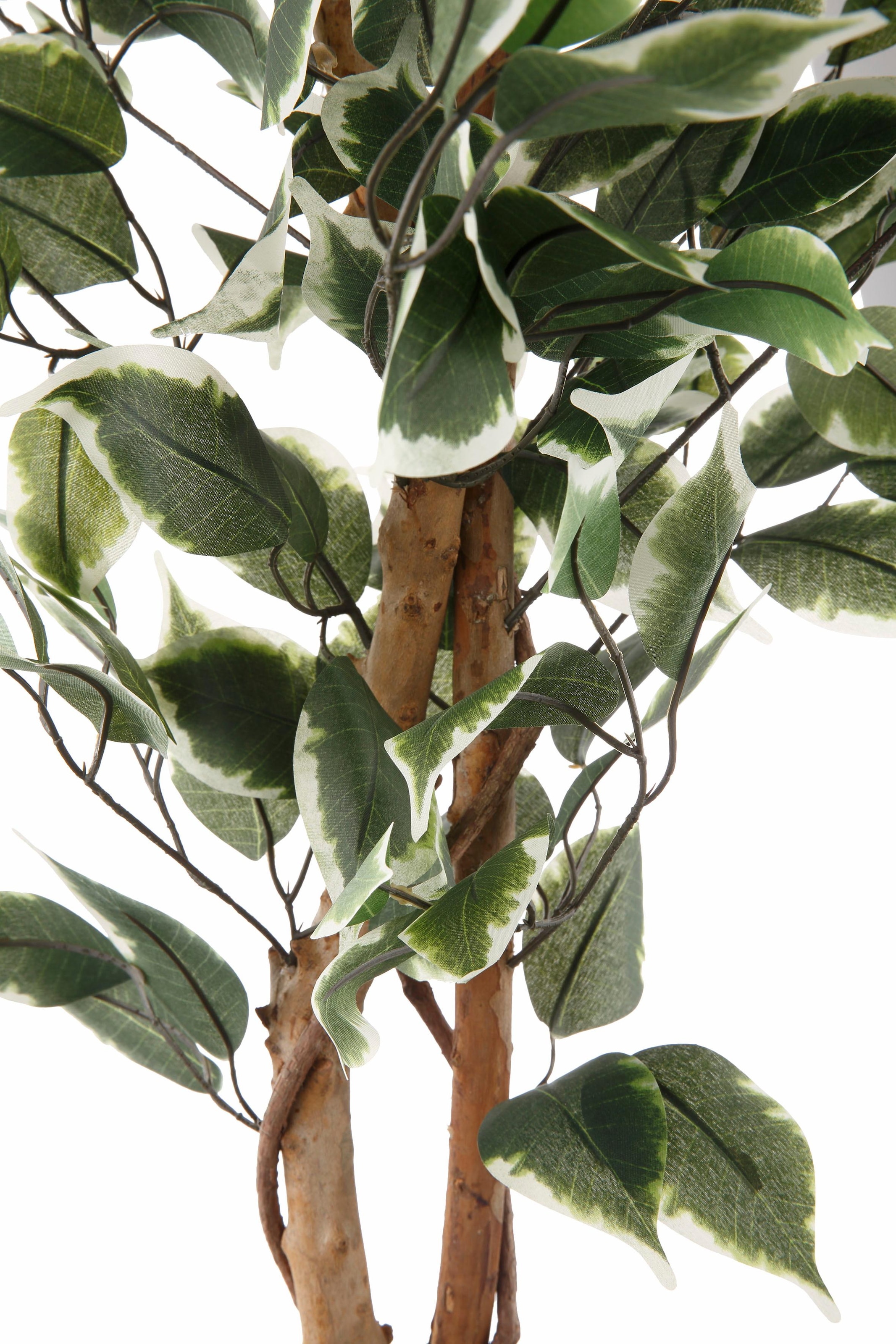 Creativ green Kunstpflanze »Ficus Benjamini«