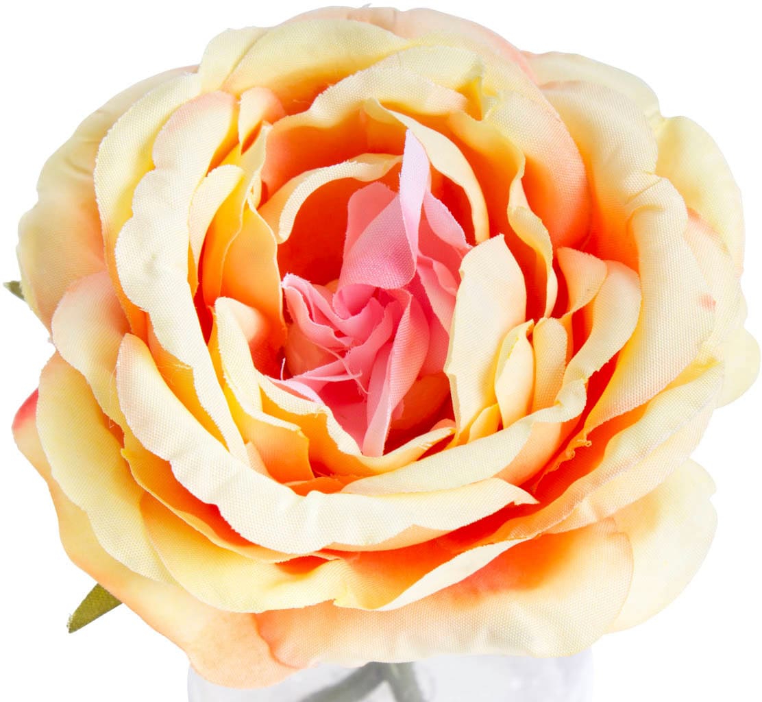 Botanic-Haus Kunstblume »Rose im Glas«