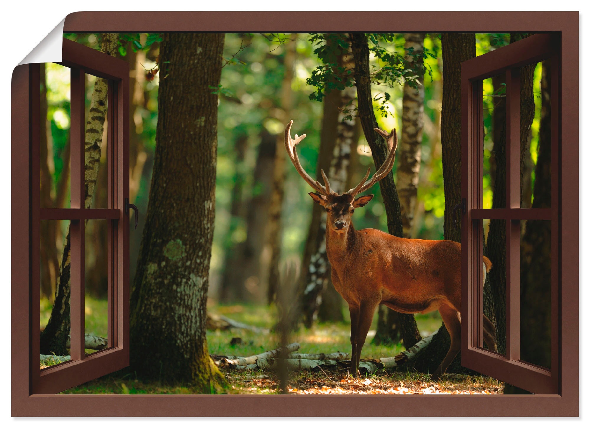 Image of Artland Wandbild »Fensterblick - Hirsch 4 - Wald«, Fensterblick, (1 St.), in vielen Grössen & Produktarten -Leinwandbild, Poster, Wandaufkleber / Wandtattoo auch für Badezimmer geeignet bei Ackermann Versand Schweiz