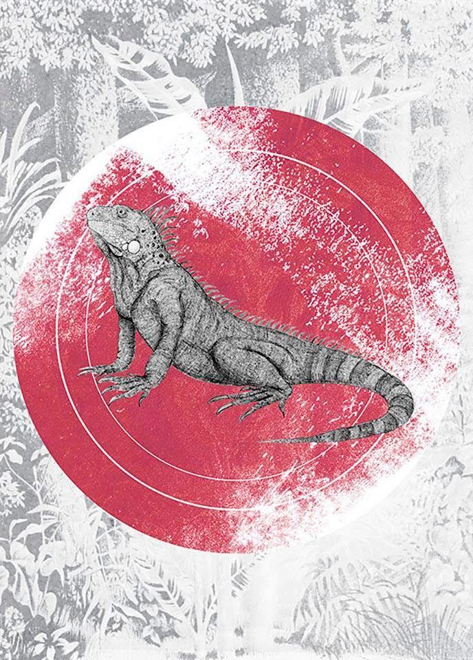 Image of Komar Poster »Iguana Circle«, Tiere, Höhe: 40cm bei Ackermann Versand Schweiz