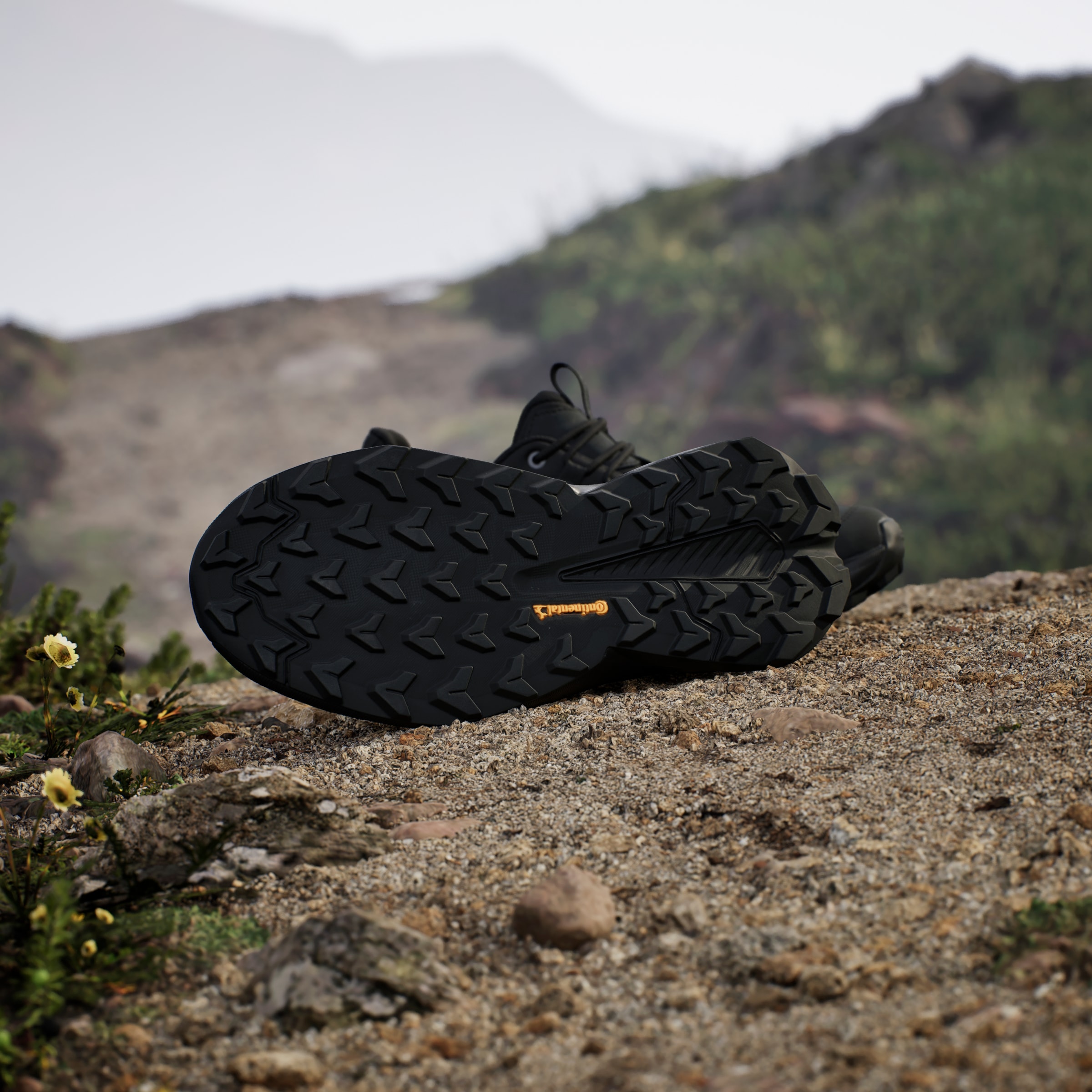 adidas TERREX Wanderschuh »TERREX TRAILMAKER 2.0 LEATHER«