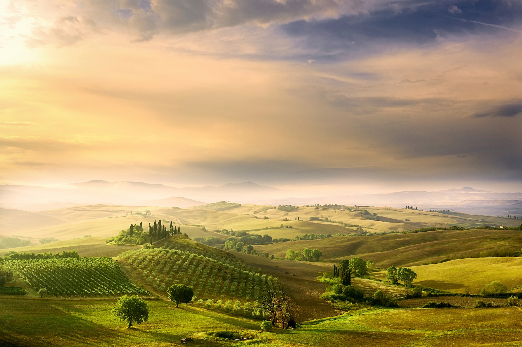 Image of Papermoon Fototapete »Photo-Art ARNAUD BRATKOVIC, PODERE BELVEDERE'S SUNRISE«, Vliestapete, hochwertiger Digitaldruck, inklusive Kleister bei Ackermann Versand Schweiz