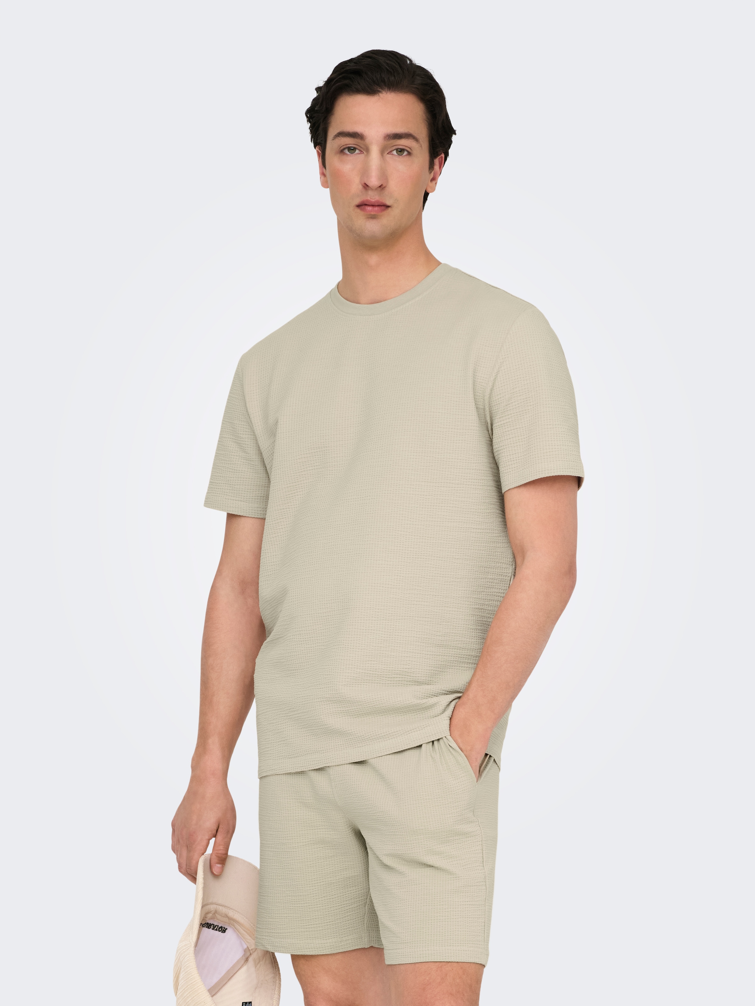 ONLY & SONS Rundhalsshirt »ONSKIAN LIFE REG SEERSUCKER SS TEE NOOS«