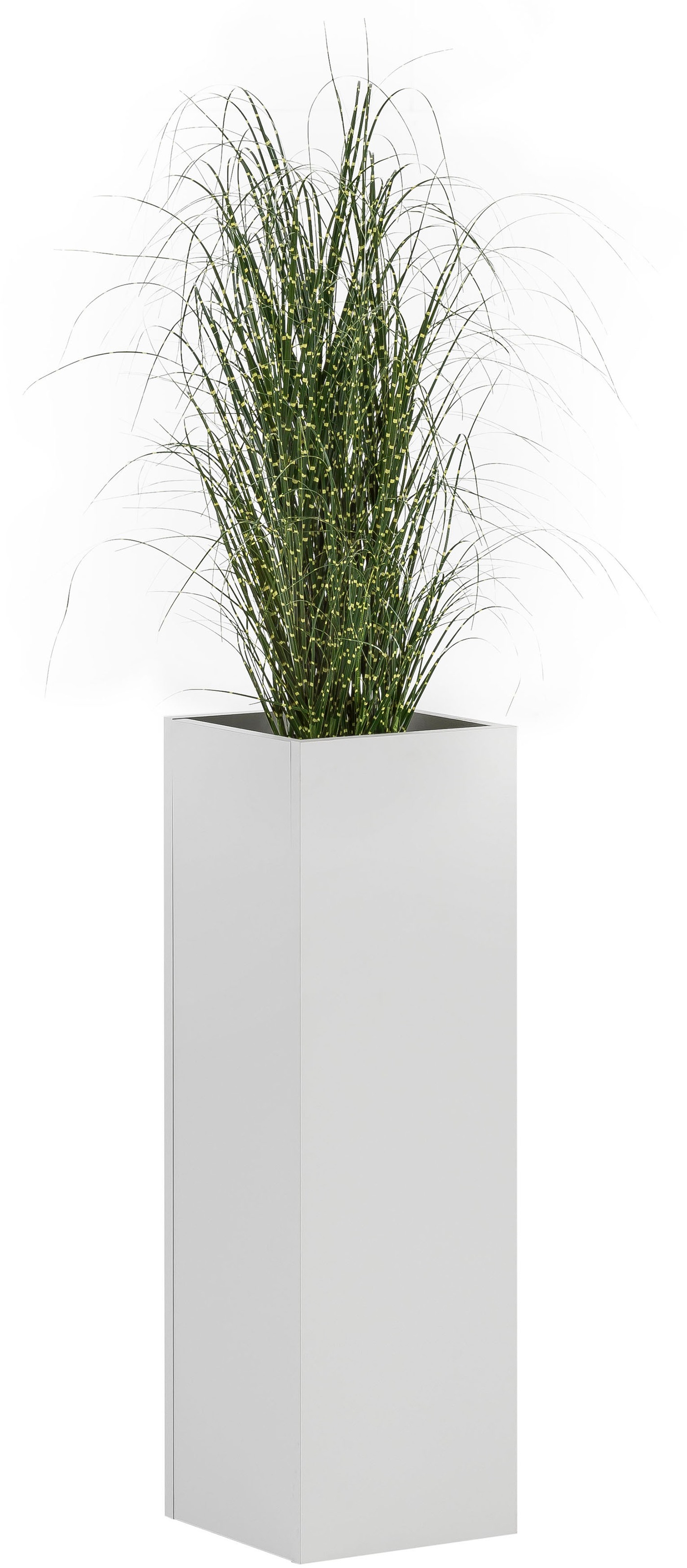 Image of Schildmeyer Blumenkasten »Serie 1500« bei Ackermann Versand Schweiz