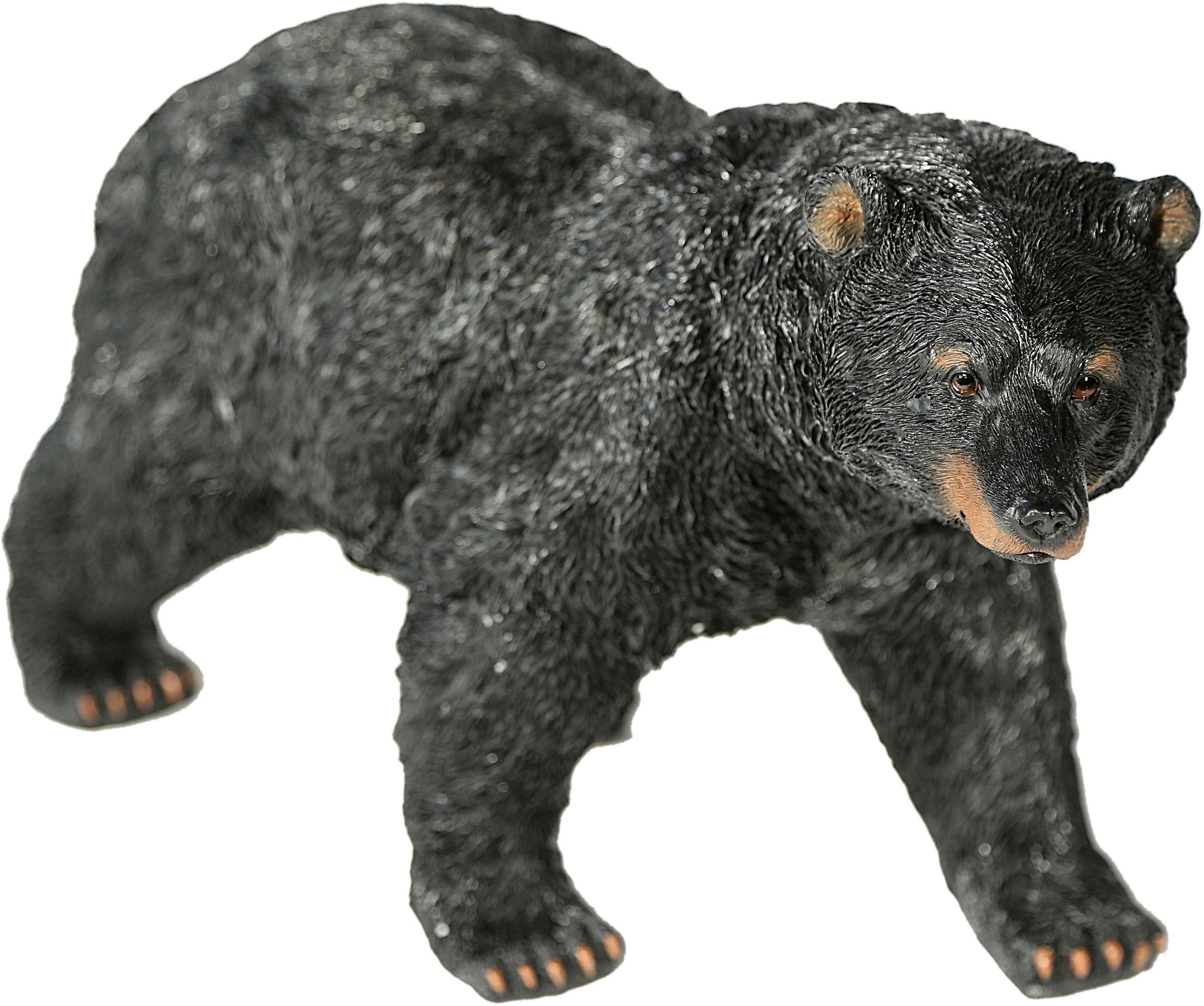 Image of Casa Collection by Jänig Tierfigur »Schwarzbär« bei Ackermann Versand Schweiz