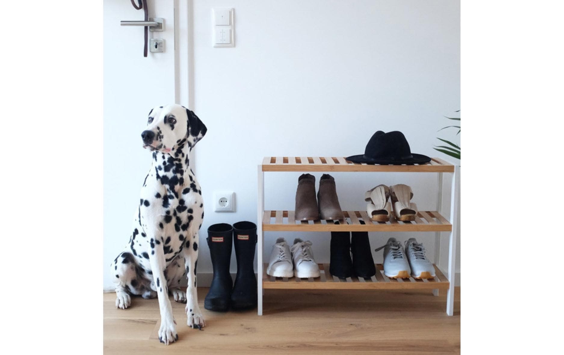 Zeller Present Schuhregal