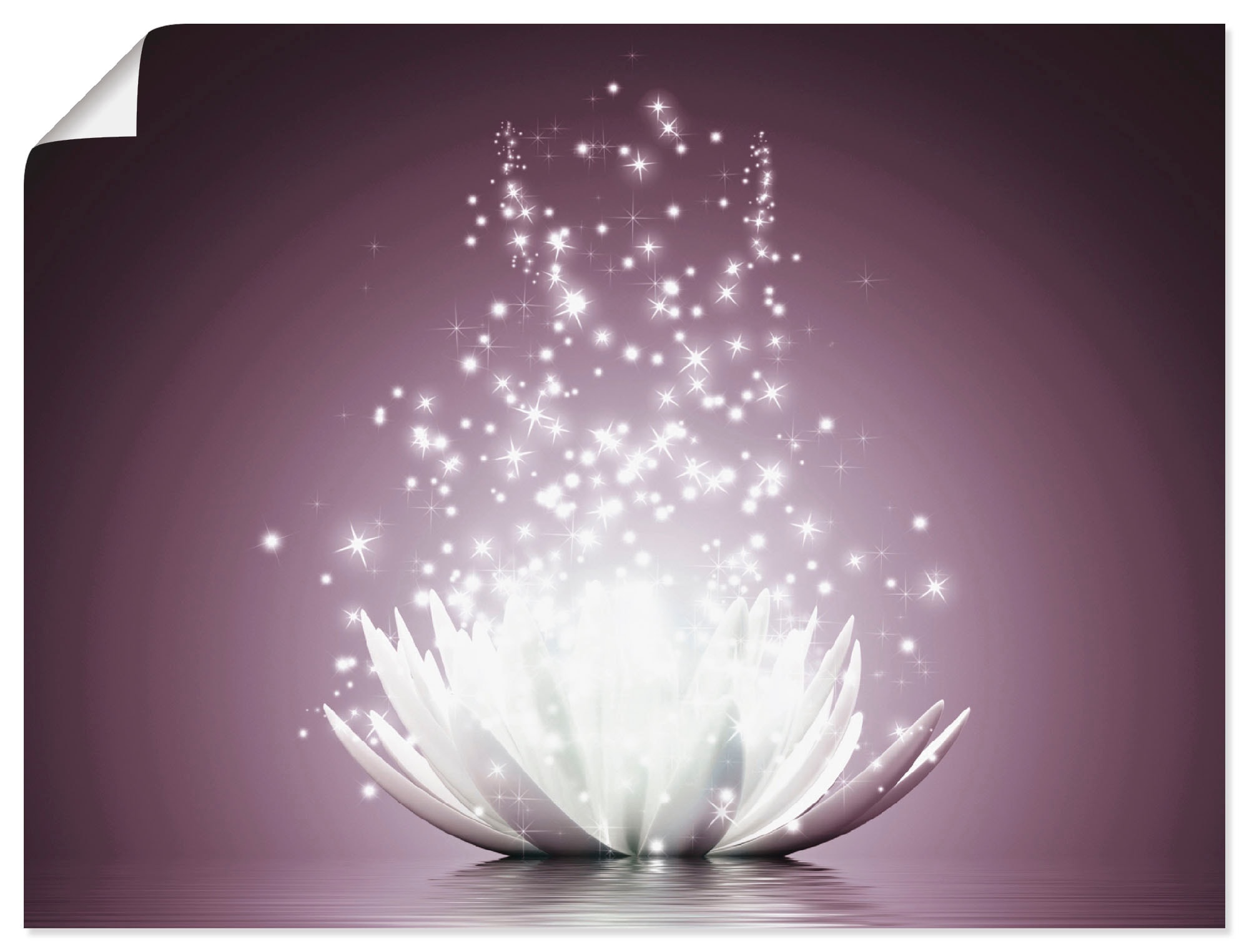 Image of Artland Wandbild "Magie der Lotus-Blume" Blumen 1 Stk. tlg. als Leinwandbild, Poster in verschied. Grössen
