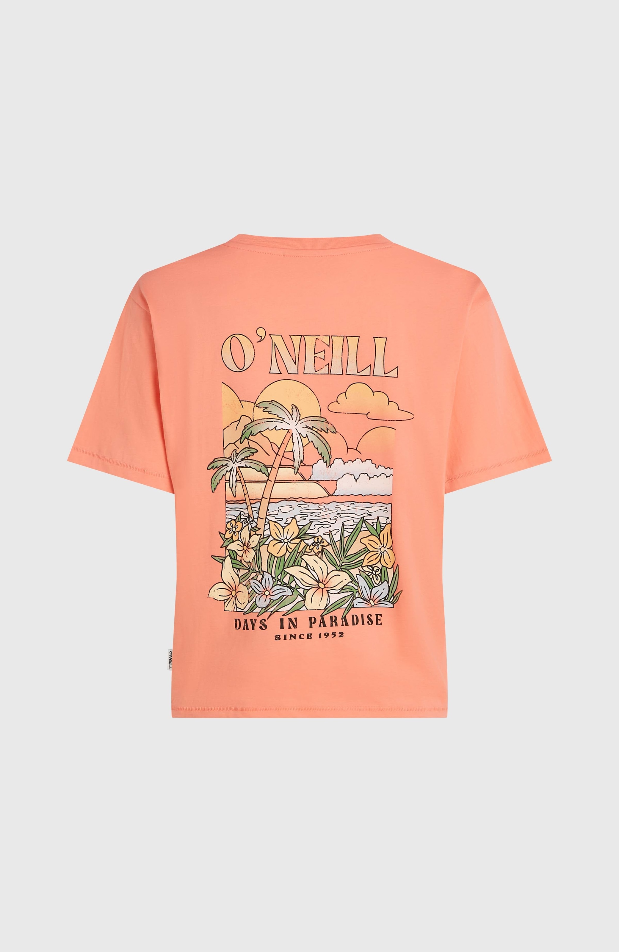 O'Neill T-Shirt »O'NEILL BOXY BACK PRINT T-SHIRT« sportliche Passform, lockerer Schnitt
