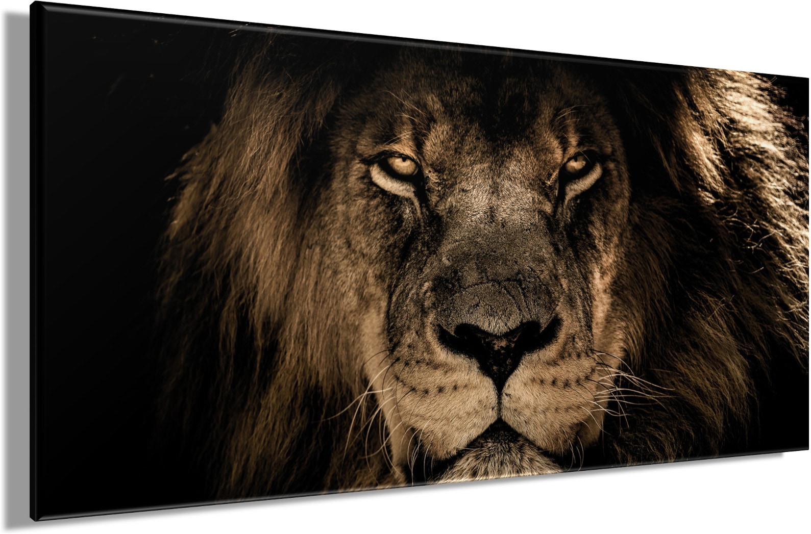 Bönninghoff Tableau sur toile »Wandbild LÖWE 50x100 cm – Leinwandbild Keilrahmen Deko modern« Lion 1 cuis tlg. tendu sur châssis