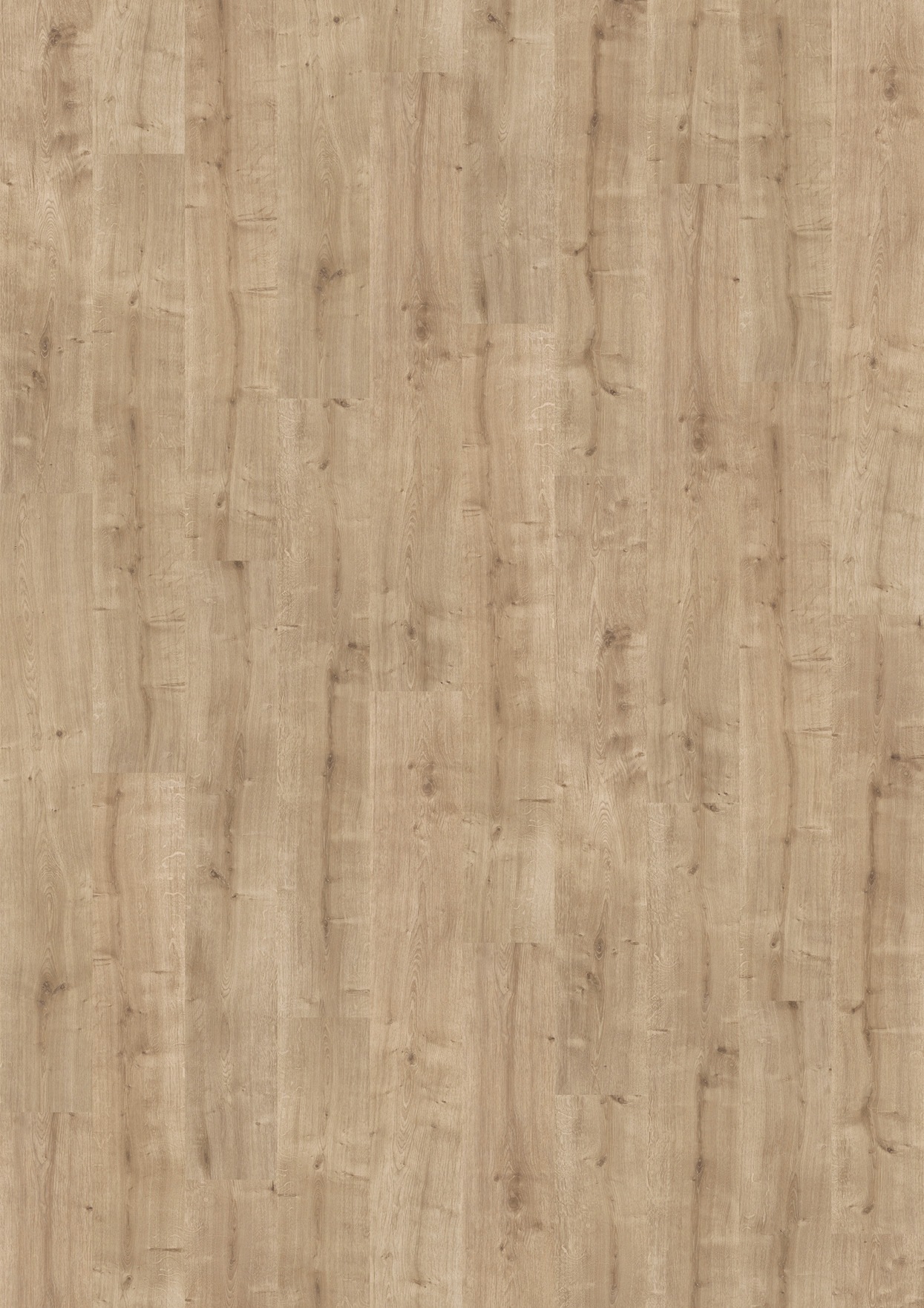 Image of PARADOR Laminat »Basic 200 - Eiche«, (Packung), ohne Fuge, 194 x 1285 mm bei Ackermann Versand Schweiz