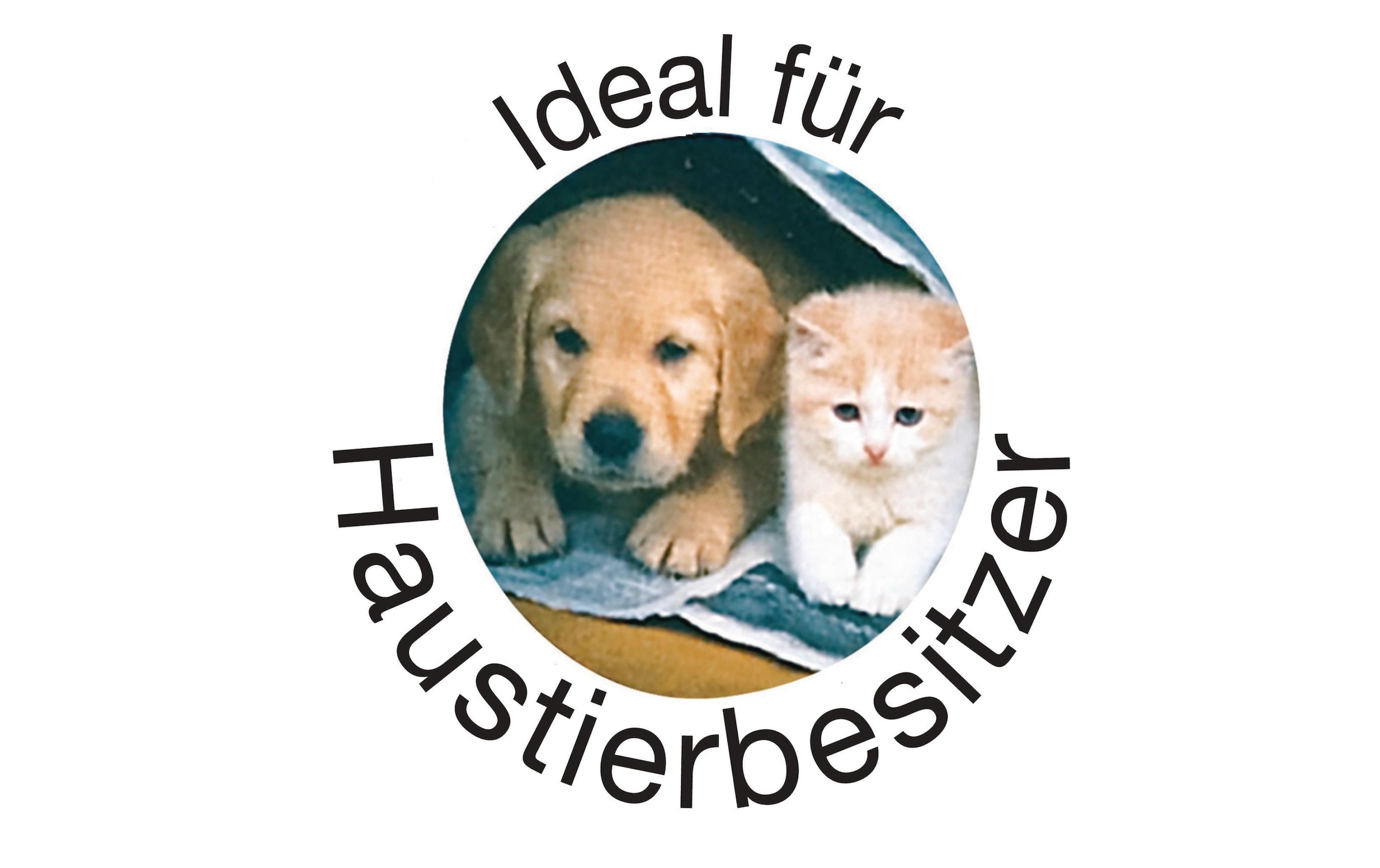 Electrolux Akku-Hand-und Stielstaubsauger »Electrolux«