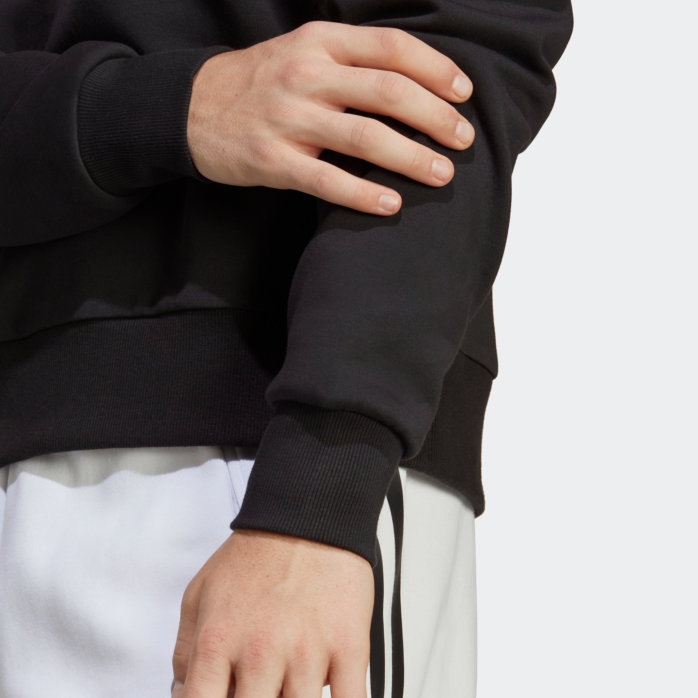 adidas Sportswear Sweatshirt »FUTURE ICONS BADGE OF SPORT«