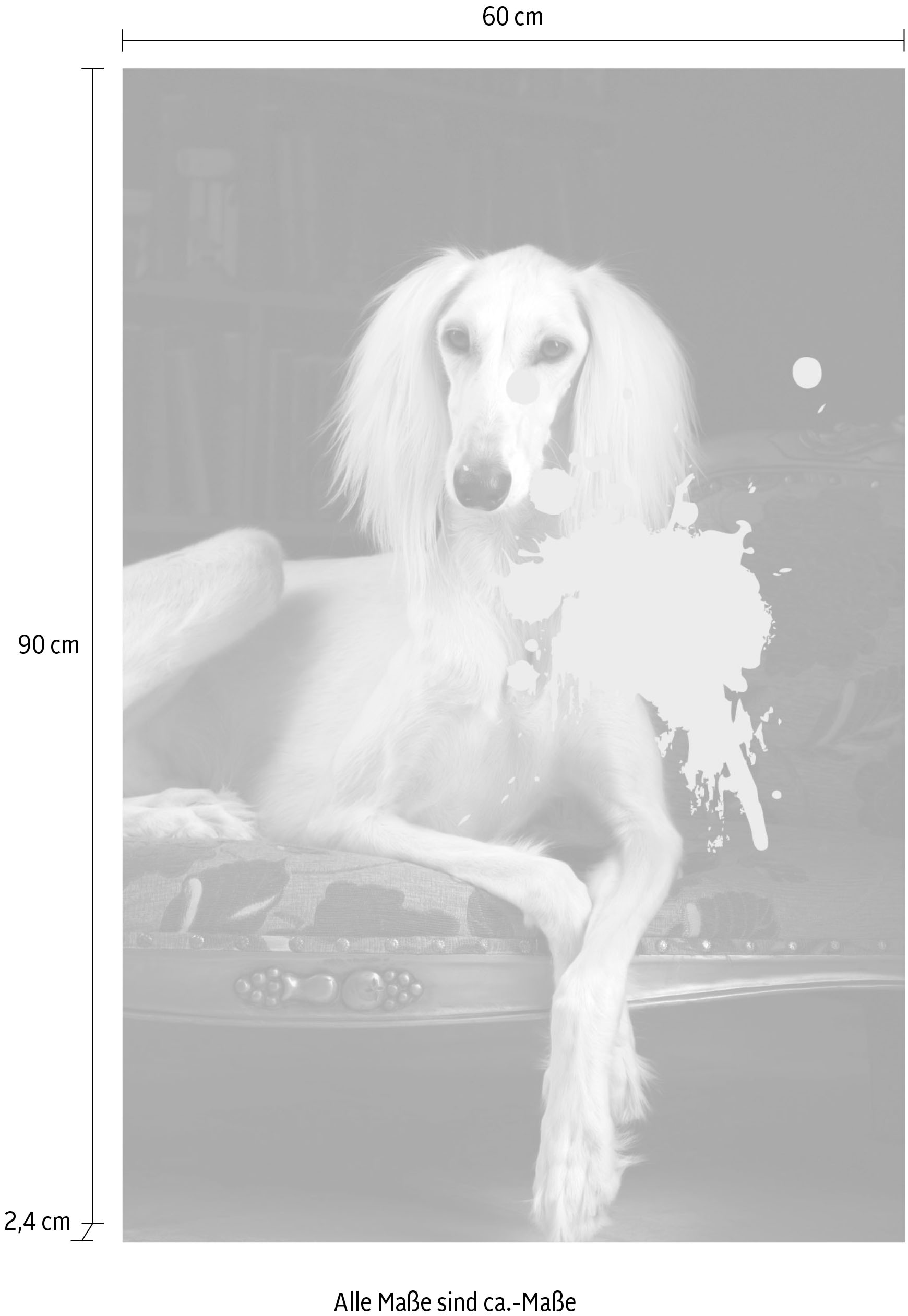 queence Tableau en verre acrylique »Hund mit Farbklecks« Fine Art-Print in Galeriequalität