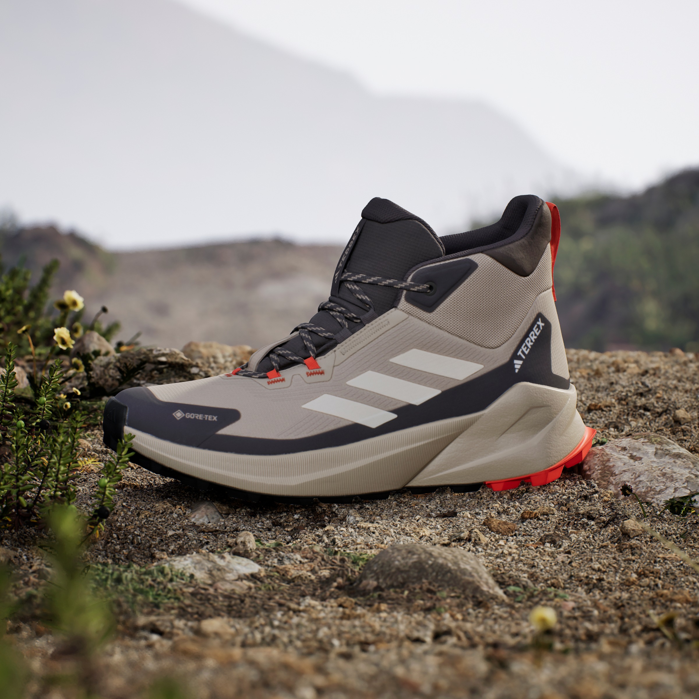 adidas TERREX Wanderschuh »TERREX TRAILMAKER 2.0 MID GORE-TEX«, wasserdicht