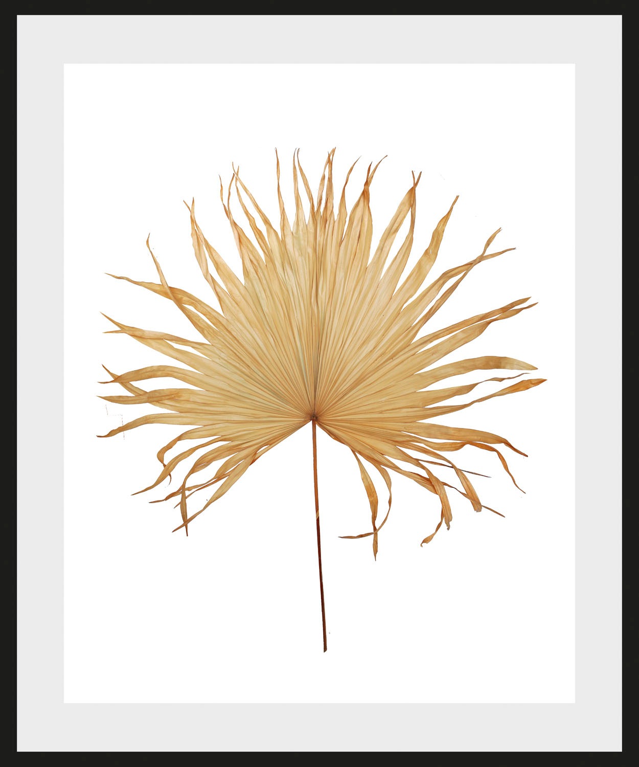 Image of Timbers Bild »Agus«, Blätter, (1 St.), 30x40, mit Rahmen bei Ackermann Versand Schweiz