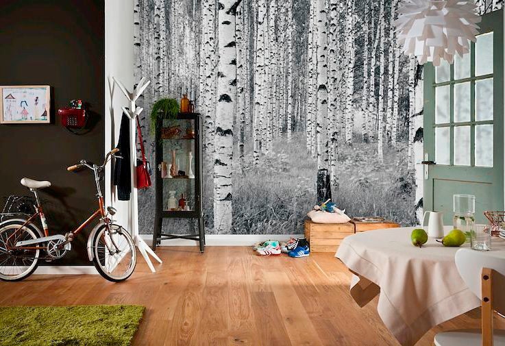 Komar Vliestapete »Vlies  - Woods - Grösse 368 x 248 cm« bedruckt glatt Wohnzimmer, Schlafzimmer