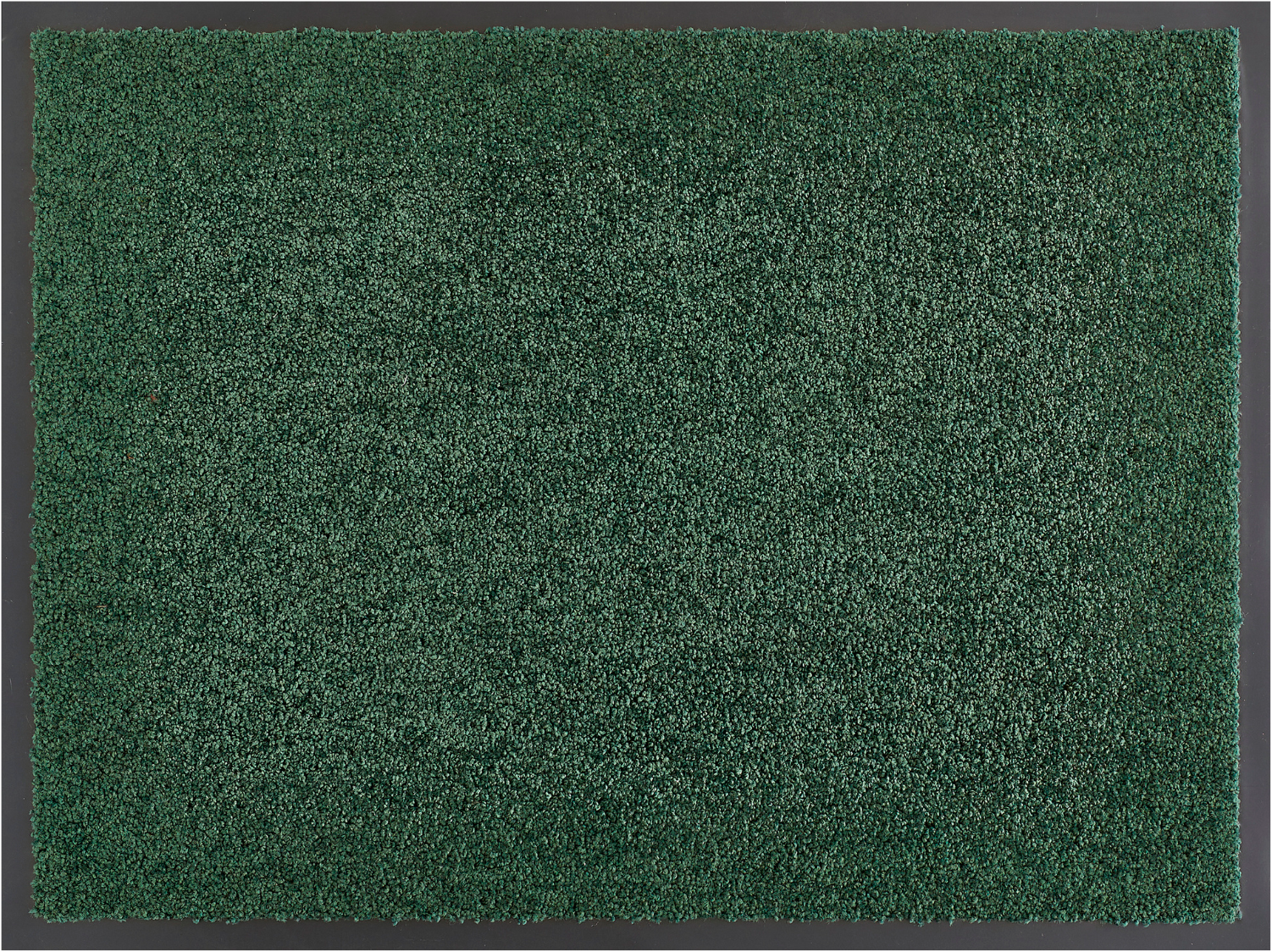 my home Fussmatte »Emil, Made in Netherlands«, rechteckig, 6 mm Höhe, Schmutzfangmatte, Uni Farben, rutschhemmend, waschbar (Handwäsche)