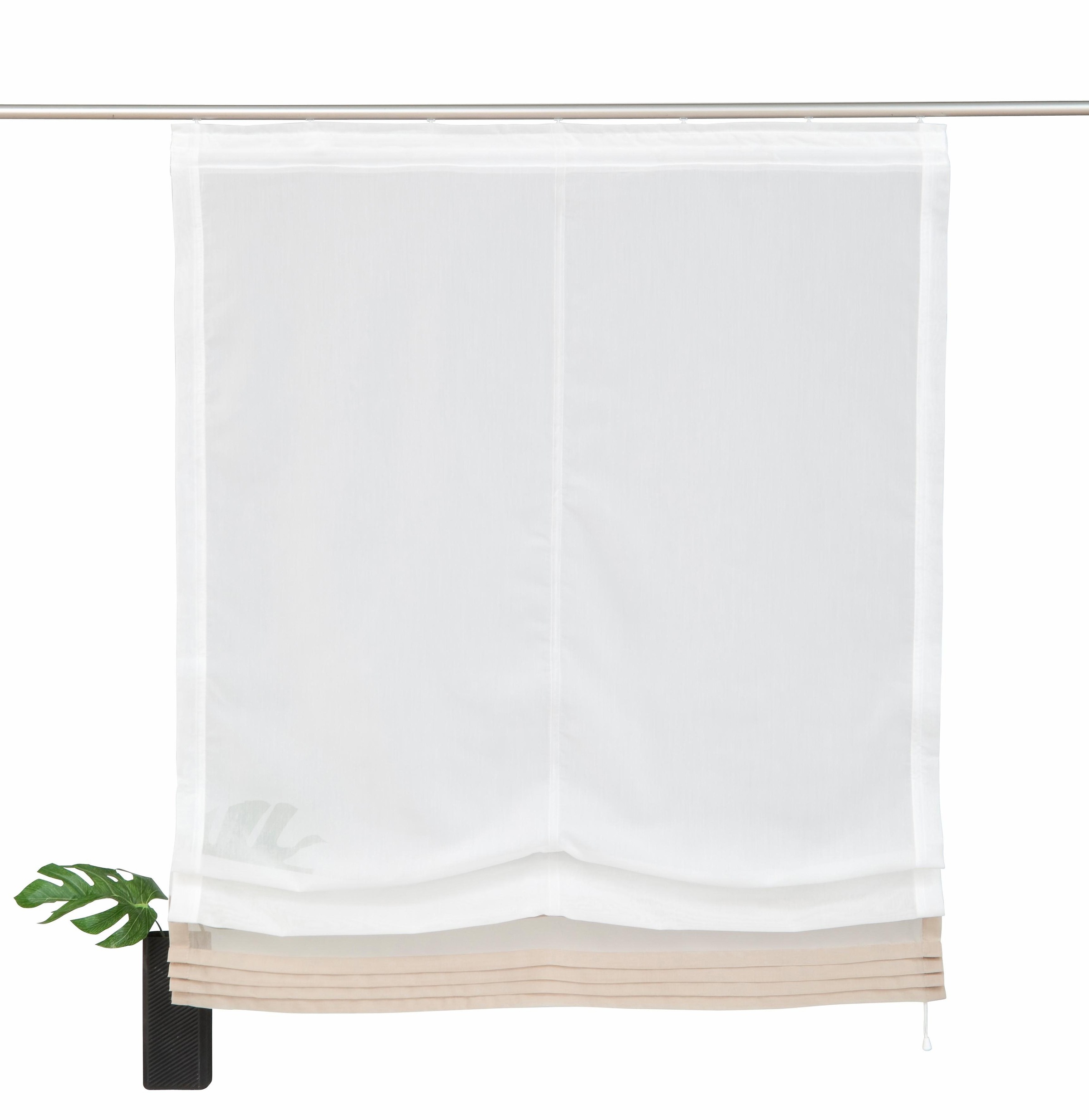 Image of Home affaire Raffrollo »Gander«, mit Klettband, halbtransparent, mit farbiger Faltenblende, pflegeleicht bei Ackermann Versand Schweiz