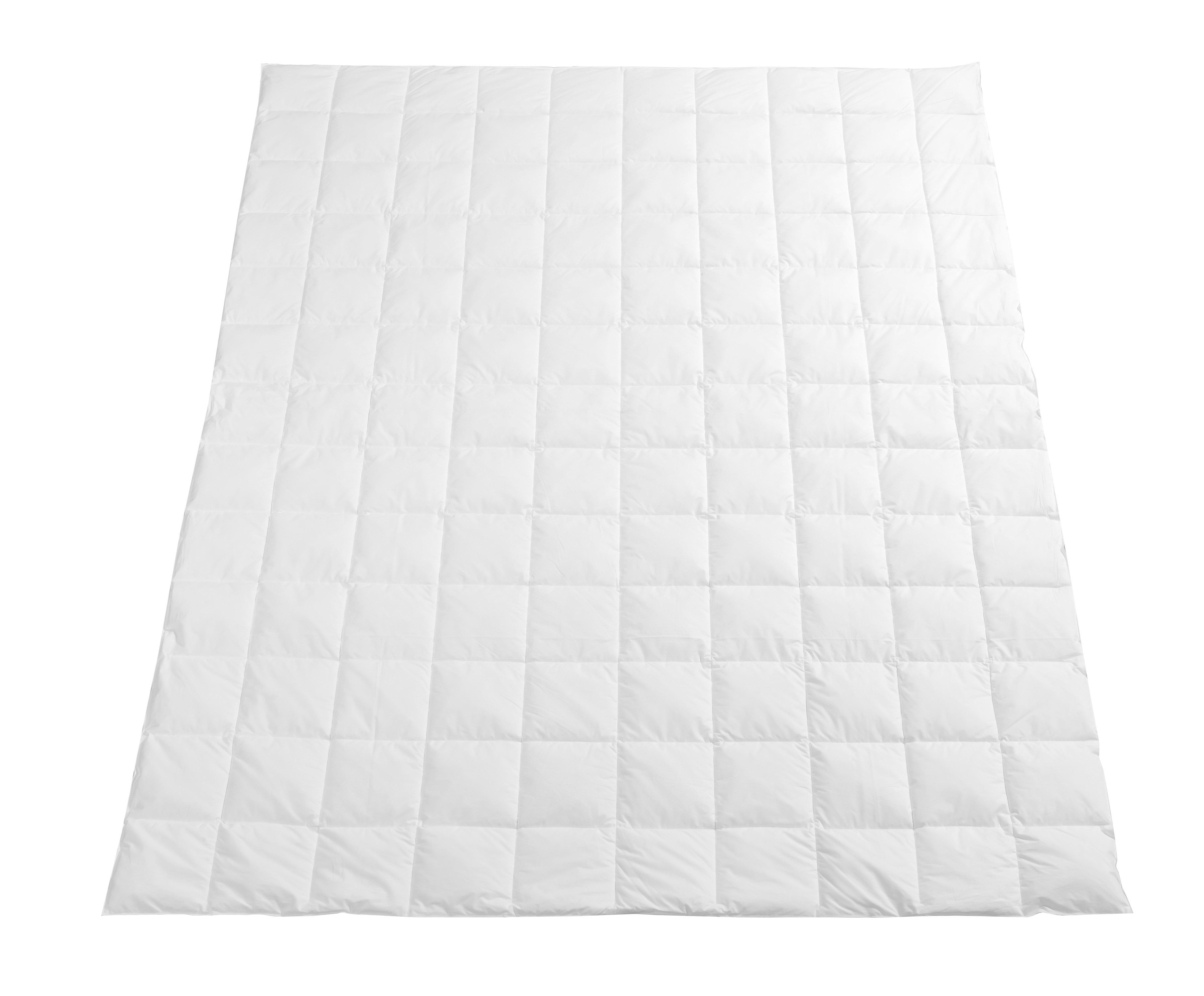 Image of billerbeck Naturfaserbettdecke »Samson Superlight«, extraleicht, Füllung 90% neue reine europäische Gänsedaunen grau, 10% Federchen, mit 100% Tussah-Wildseide (70% Daunen/Federchen zu 30% Seide), Bezug 100% Baumwolle Schweizer Batist, (1 St.) bei Ackerman