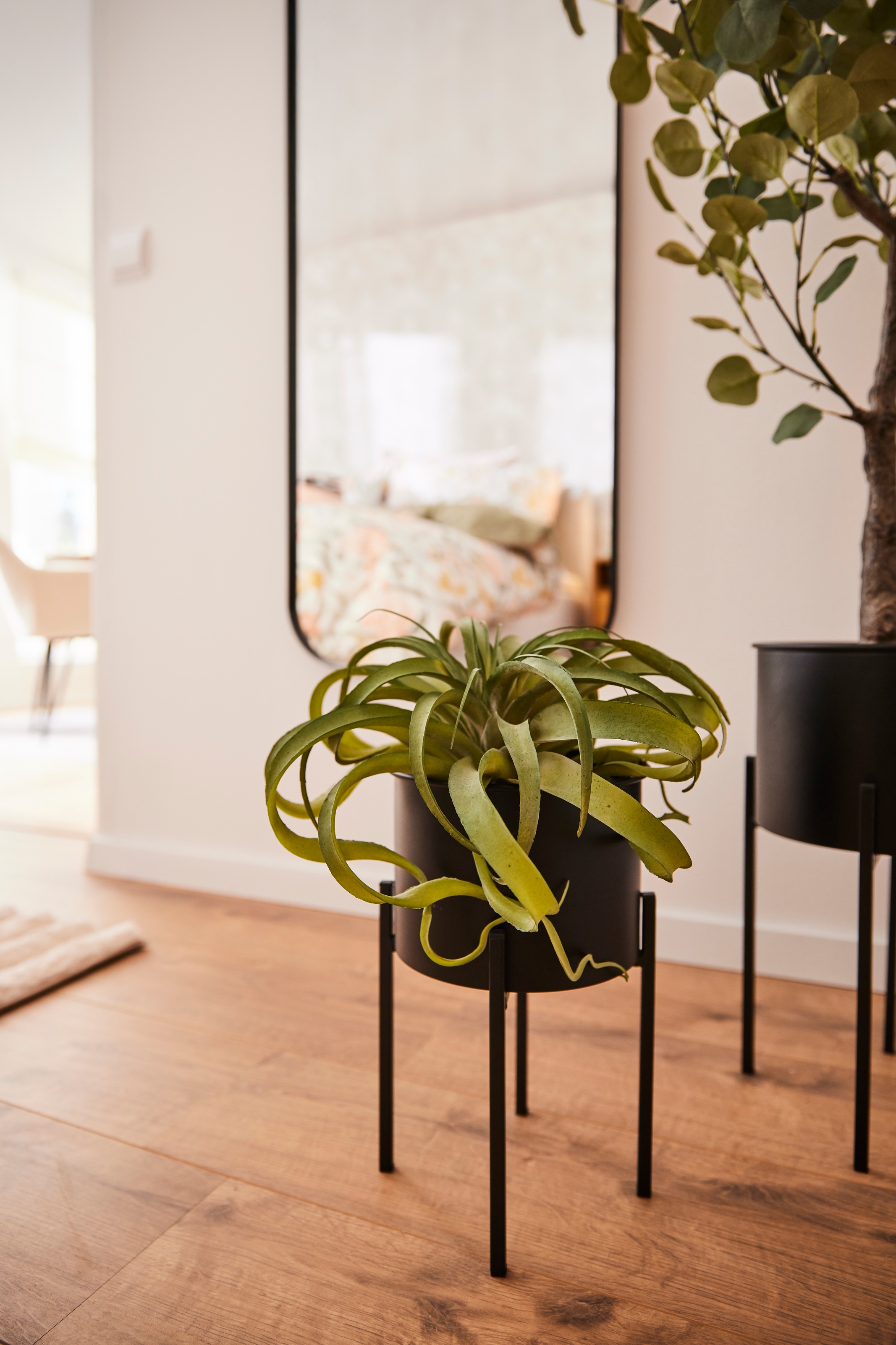 LeGer Home by Lena Gercke Übertopf »Dorette«, (Set, 2 St.)