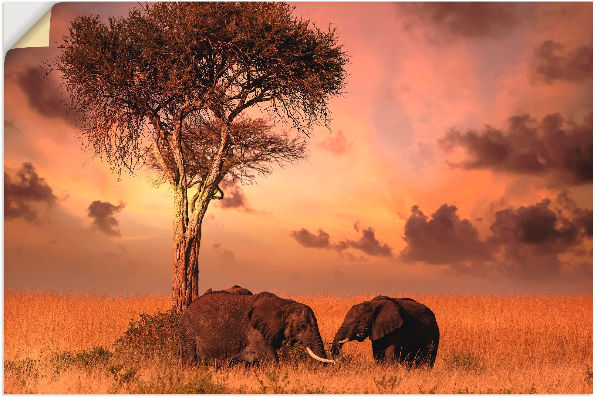 Artland Wandbild Wandaufkleber Poster versch. St.), günstig »Elefanten zum oder Wildtiere, Leinwandbild, kaufen als Abendessen«, in Alubild, (1 Grössen