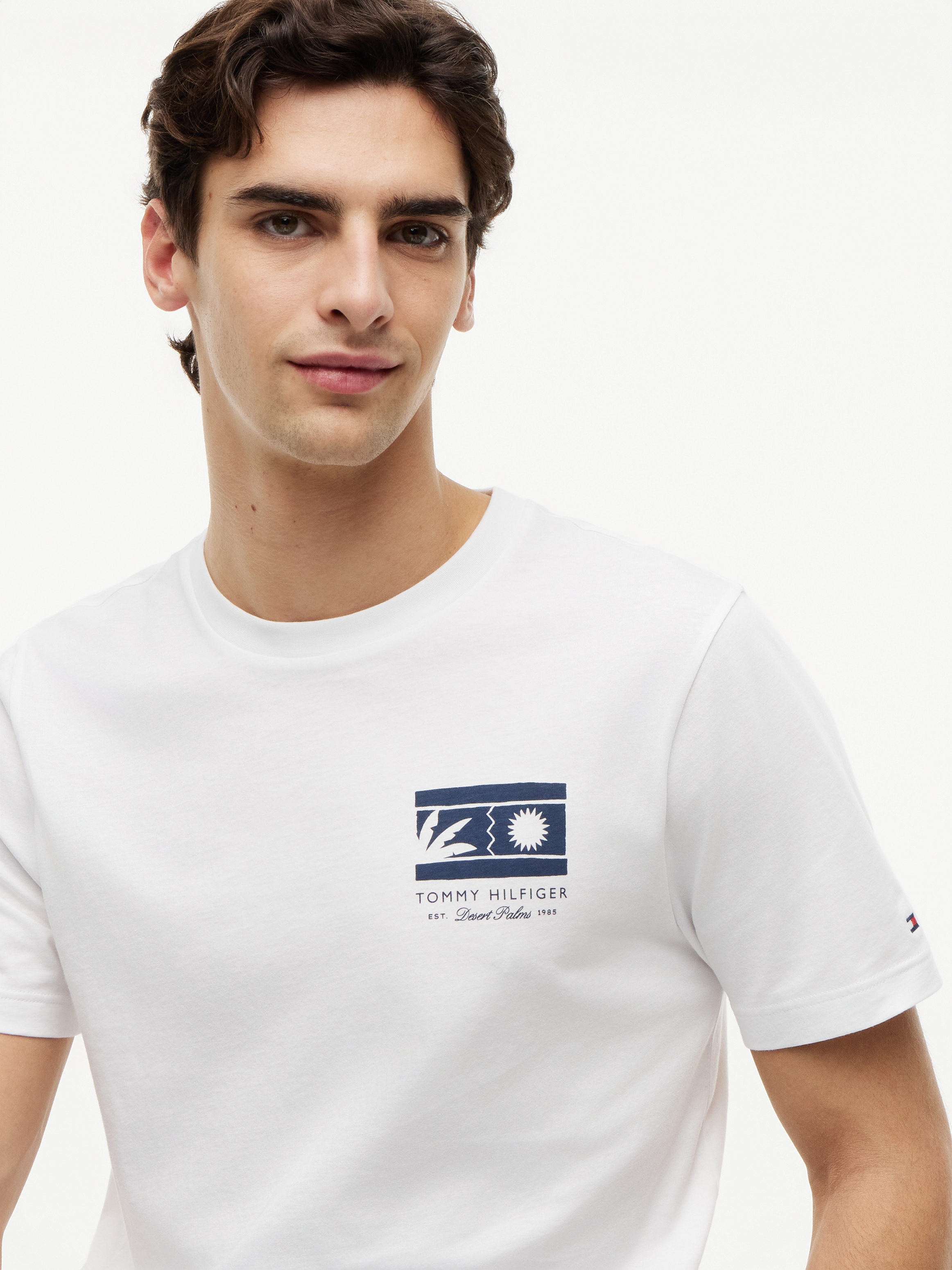 Tommy Hilfiger T-Shirt »MONO SUN GRAPHIC REGULAR TEE« aus Jersey mit Logo-Grafik