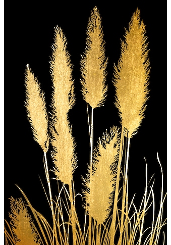 Acrylglasbild »Pampas Gras - Acrylbilder mit Blattgoldfarben veredelt«, (1 St.)