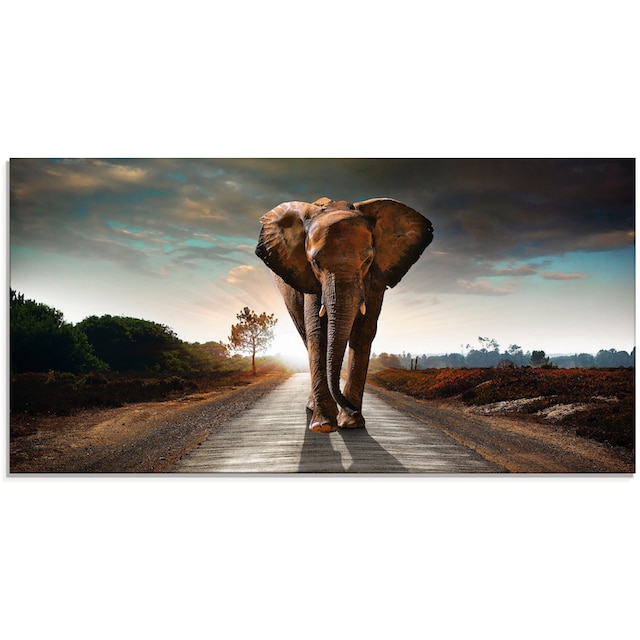 Artland Glasbild »Ein Elefant läuft auf der Strasse«, Wildtiere, (1 St.),  in verschiedenen Grössen günstig kaufen