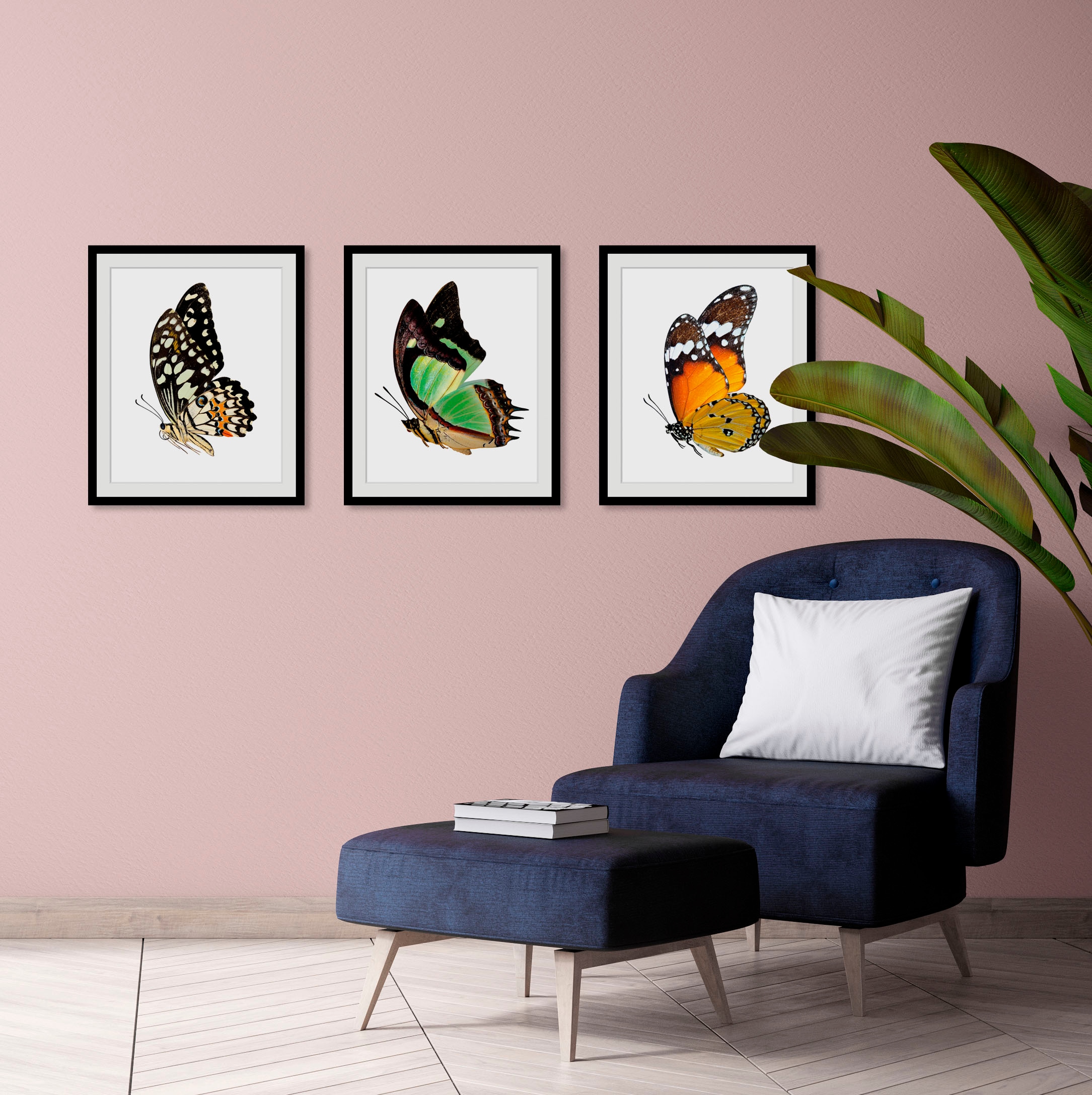 Image of queence Bild "Andy" Insekten Kunst Schmetterlinge historische Ereignisse 1 Stk. tlg. HD Premium Poster-Druck inkl. Holzrahmen