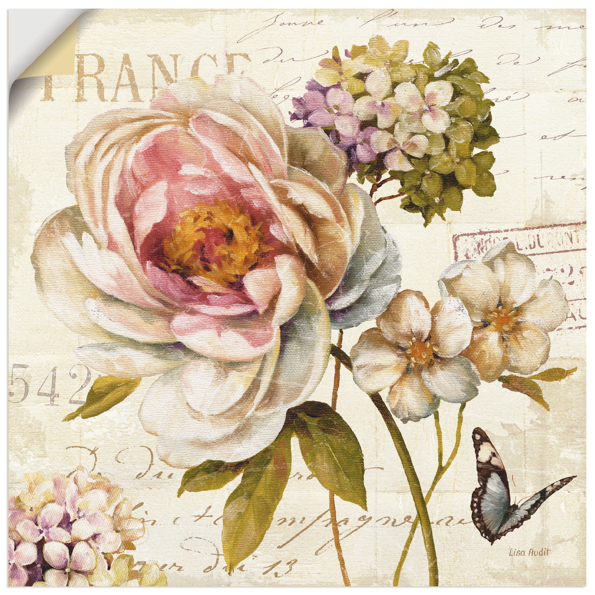 Image of Artland Wandbild »Blumen III«, Blumen, (1 St.), in vielen Grössen & Produktarten -Leinwandbild, Poster, Wandaufkleber / Wandtattoo auch für Badezimmer geeignet bei Ackermann Versand Schweiz