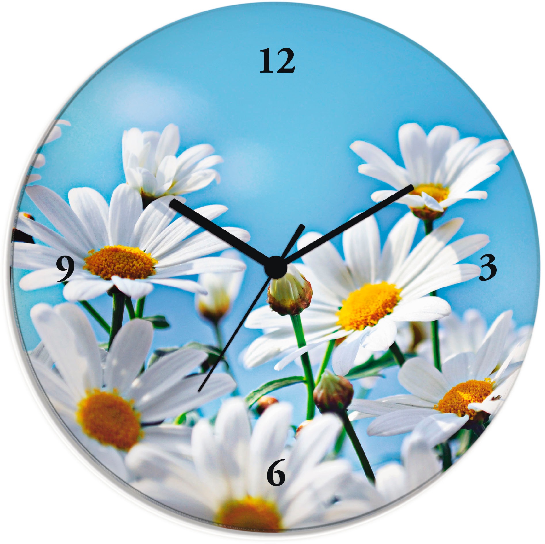 Image of Artland Wanduhr "Blumen - Margeriten" wahlweise mit Quarz- oder Funkuhrwerk, lautlos ohne Tickgeräusche
