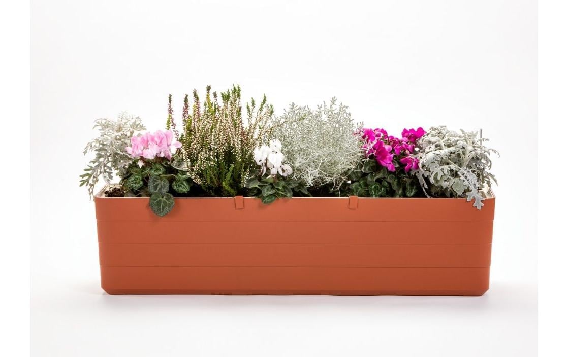   Bac à fleurs »Plastia Berberis 60 cm«