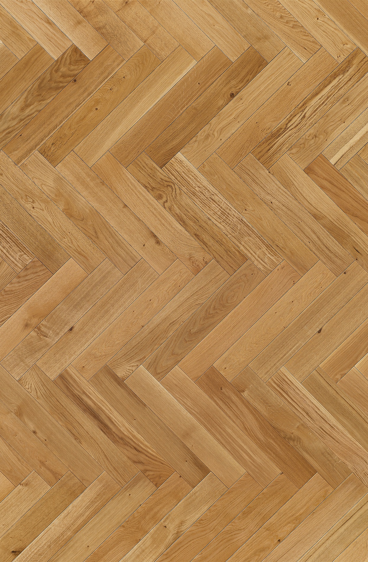 Image of PARADOR Parkett »Trendtime 3 Living - Eiche, lackiert«, (Packung), Klicksystem, 570 x 95 mm, Stärke: 10,5 mm, 1,08 m² bei Ackermann Versand Schweiz