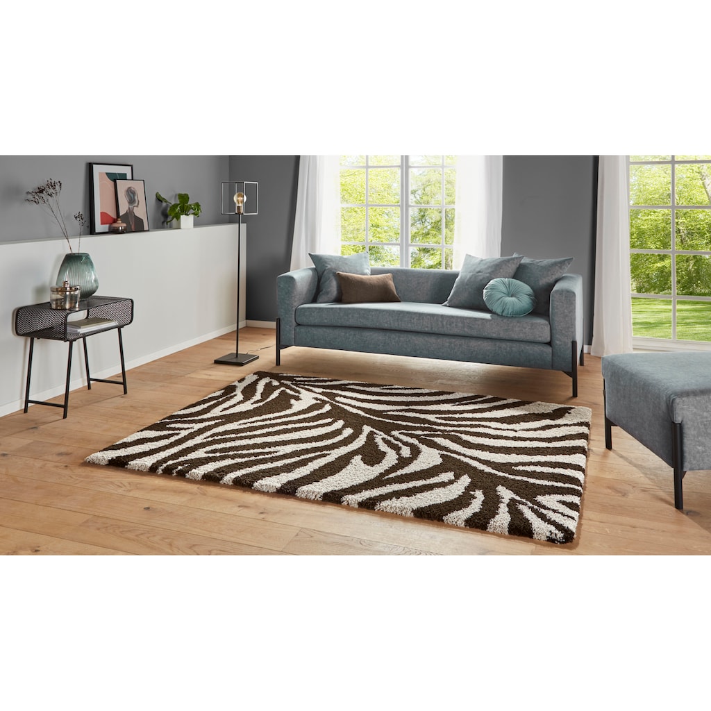 HANSE Home Hochflor-Teppich »Desert«, rechteckig