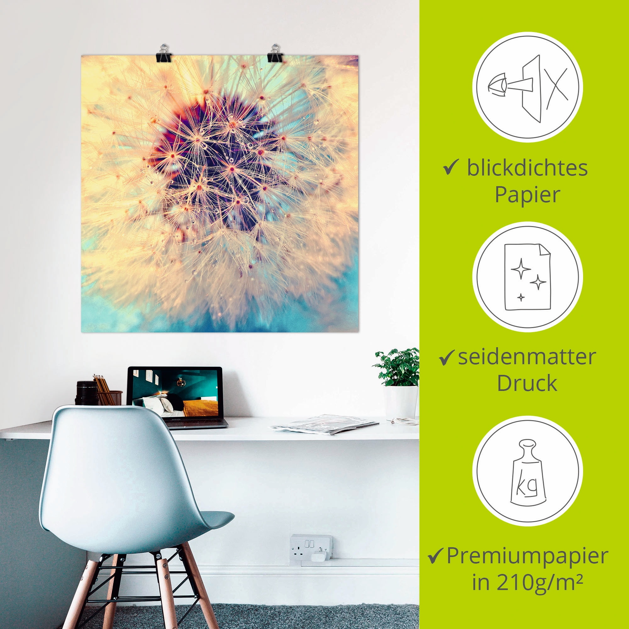 Artland Wandbild »Pusteblume ganz nah« Blumen 1 Stk. tlg. als Alubild, Leinwandbild, Poster in verschied. Grössen