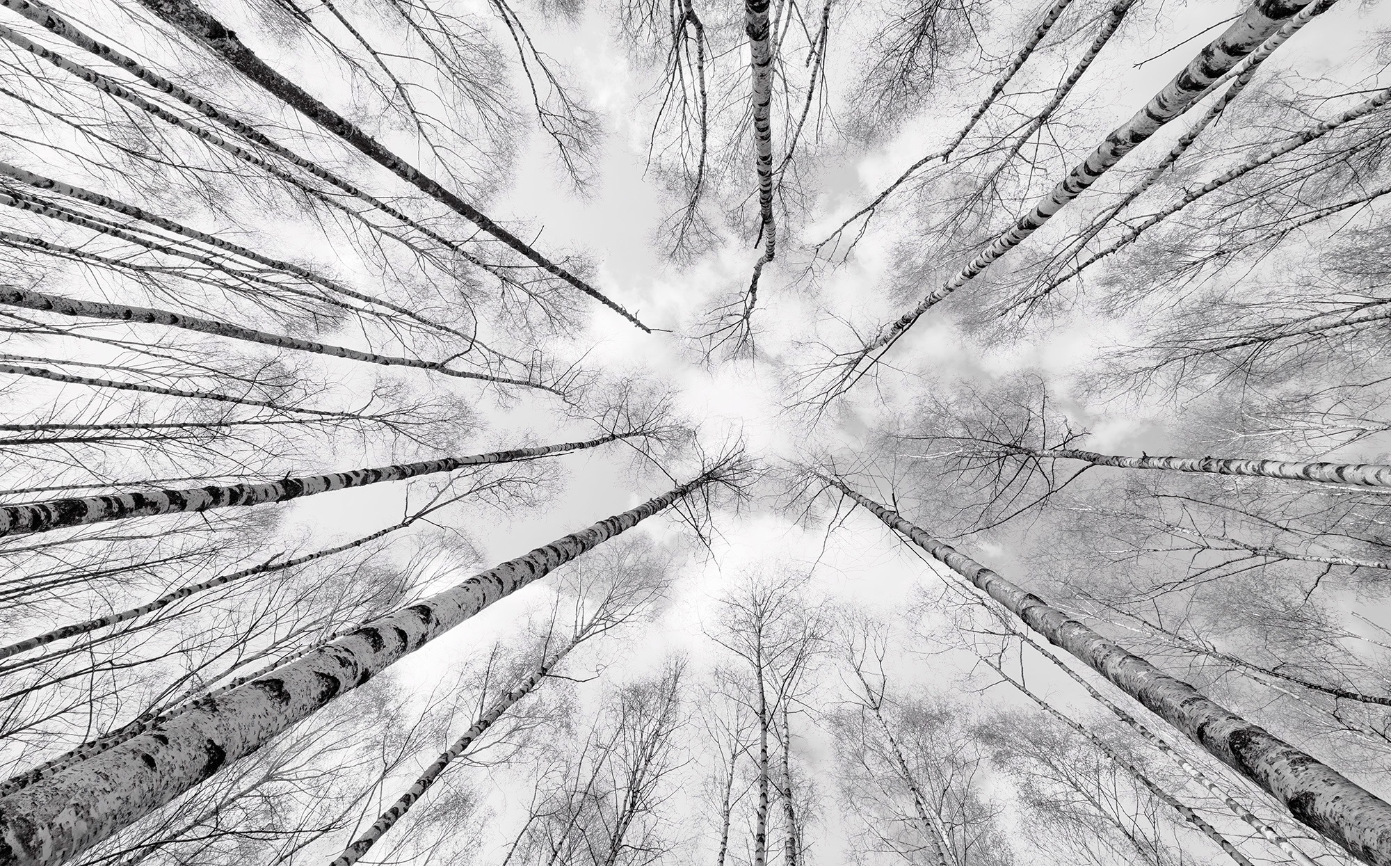 Image of Komar Fototapete »Weiss-Blau«, mehrfarbig-natürlich-bedruckt bei Ackermann Versand Schweiz