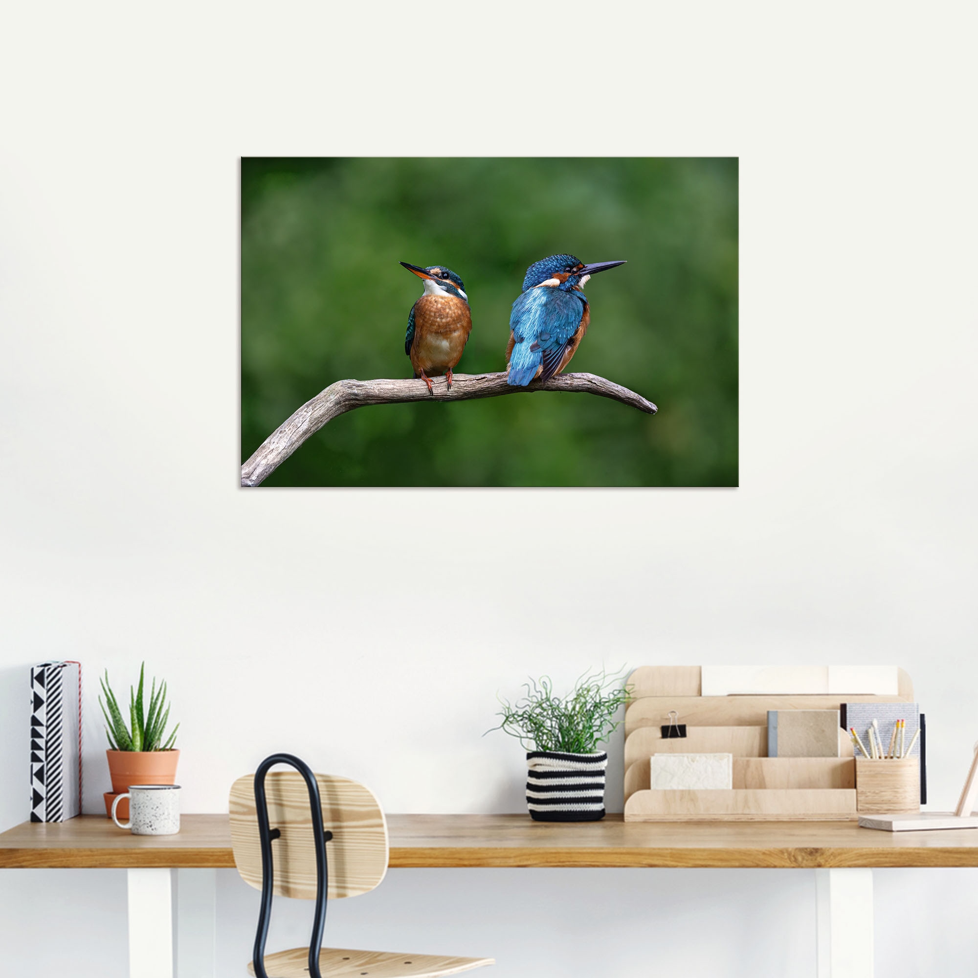 Artland Wandbild »Zwei Eisvogel«, Vogelbilder, (1 St.), als Alubild, Outdoorbild, Poster in verschied. Grössen