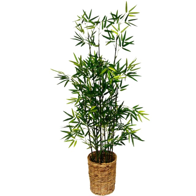 I.GE.A. Kunstpflanze »Bambus« jetzt kaufen