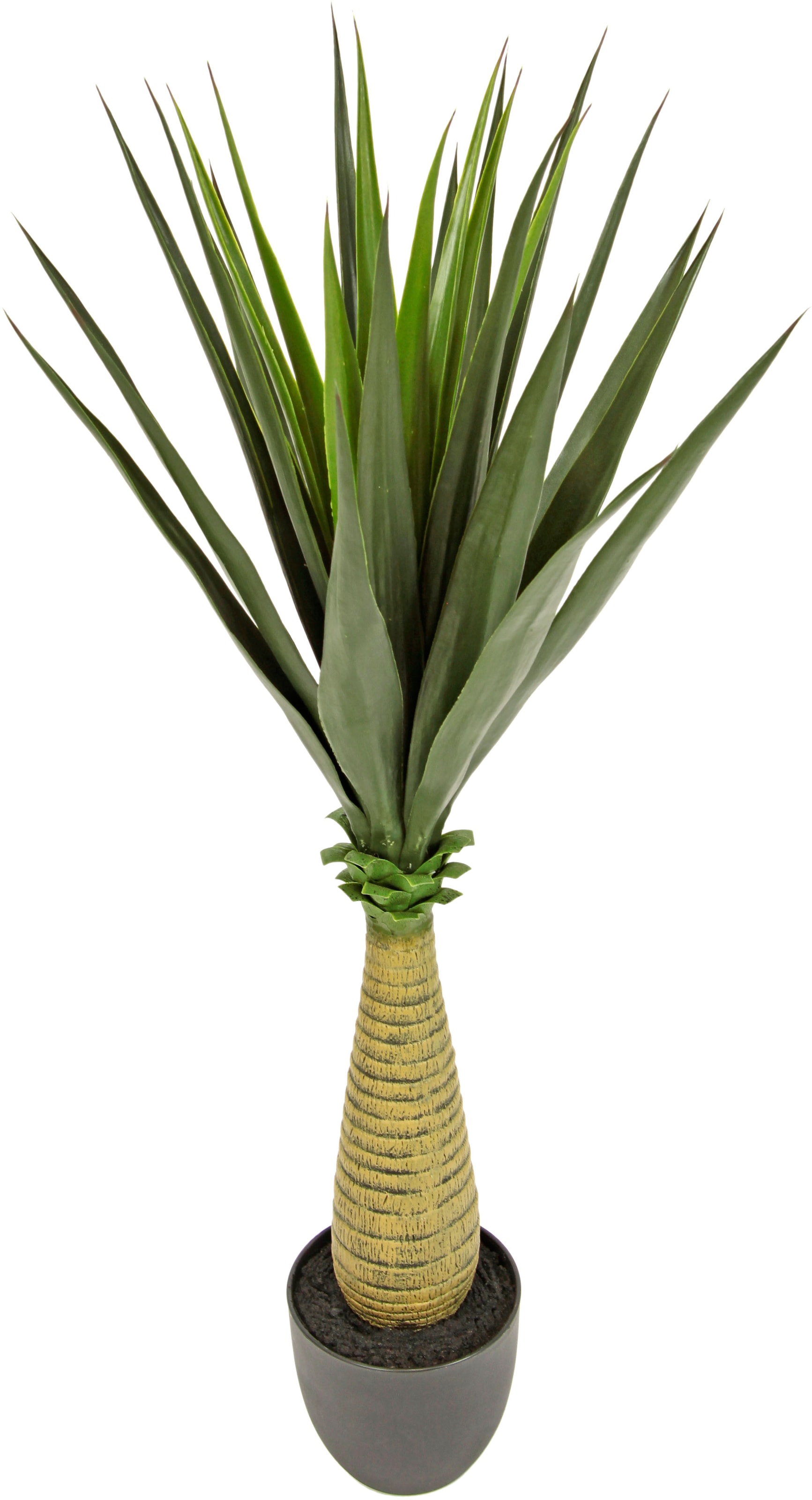 Image of I.GE.A. Künstliche Zimmerpflanze »Yucca« bei Ackermann Versand Schweiz