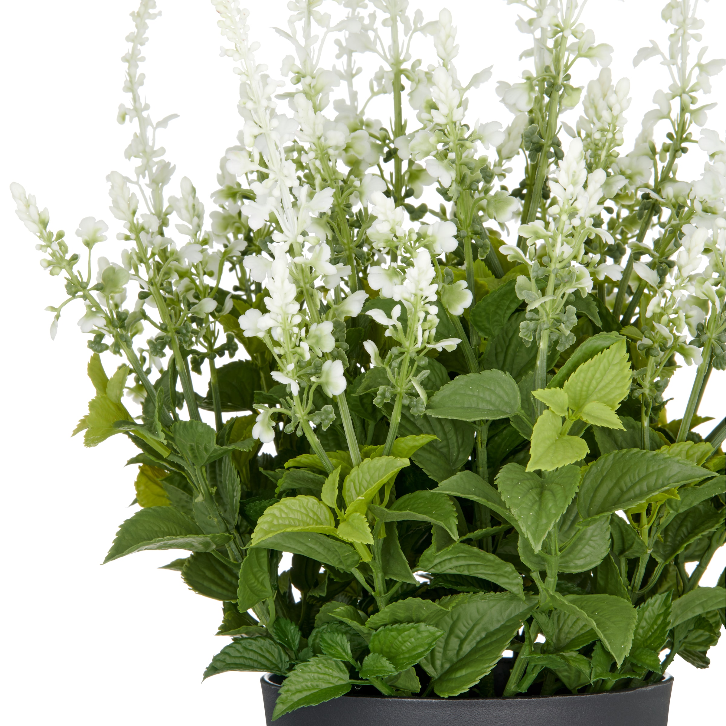 Creativ green Kunstpflanze »Salvia superba«, in UV-beständiger Ausführung