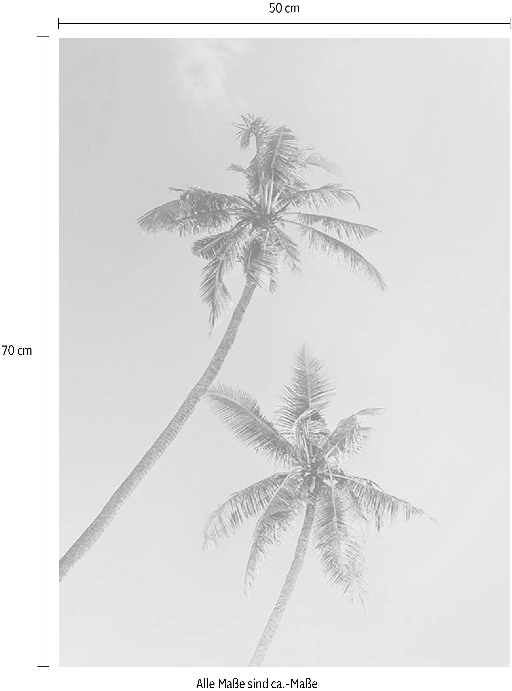 Komar Poster »Miami Palms«, Pflanzen-Blätter, Höhe: 70cm maintenant