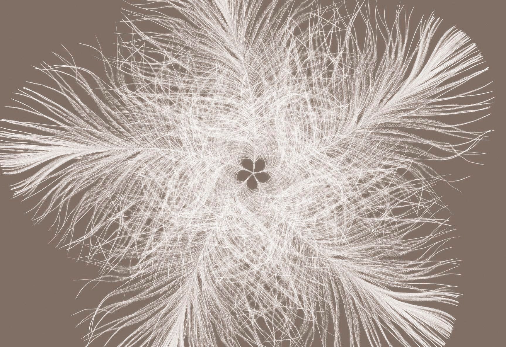 Image of Komar Vliestapete »Federstern«, abstrakt bei Ackermann Versand Schweiz