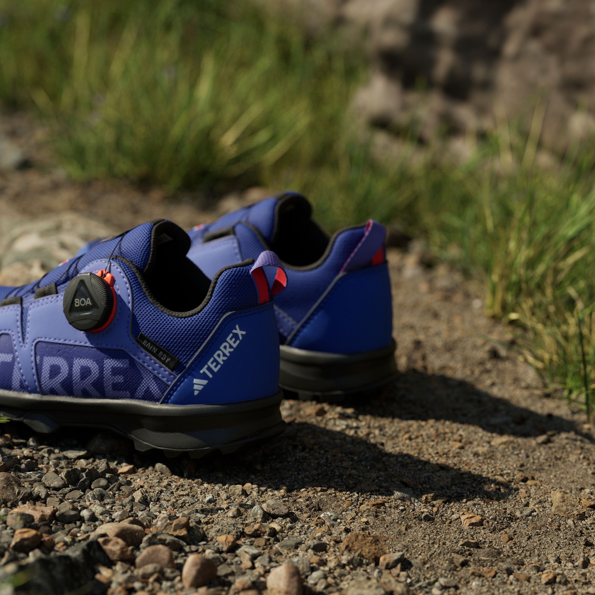 adidas TERREX Trailrunningschuh »AGRAVIC BOA RAIN.RDY TRAILRUNNING«, wasserdicht