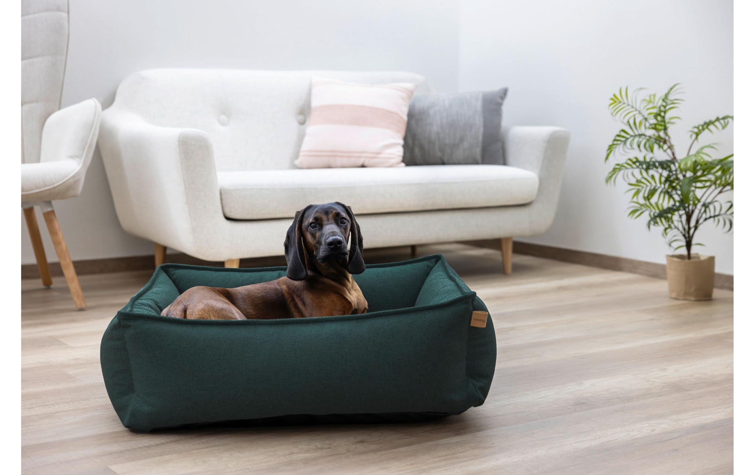 Kerbl Hundebett »Oliver 60 x 70 cm«
